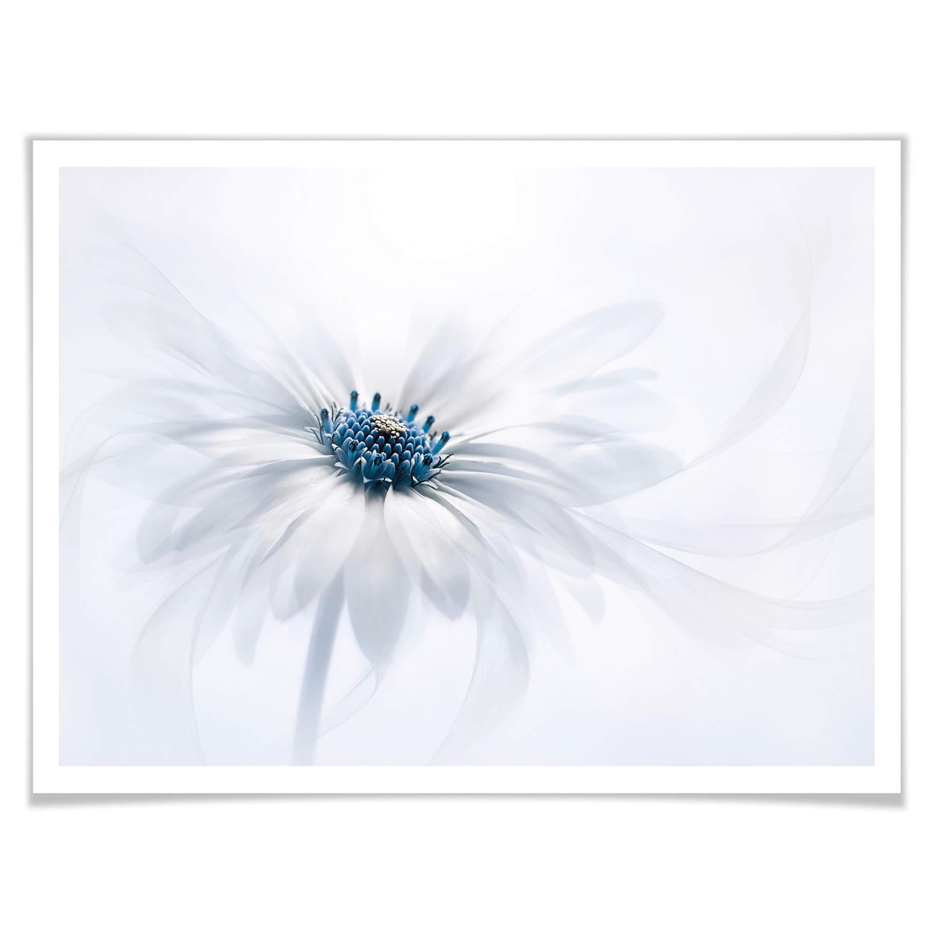 Plakat - Parker - Frozen Flower