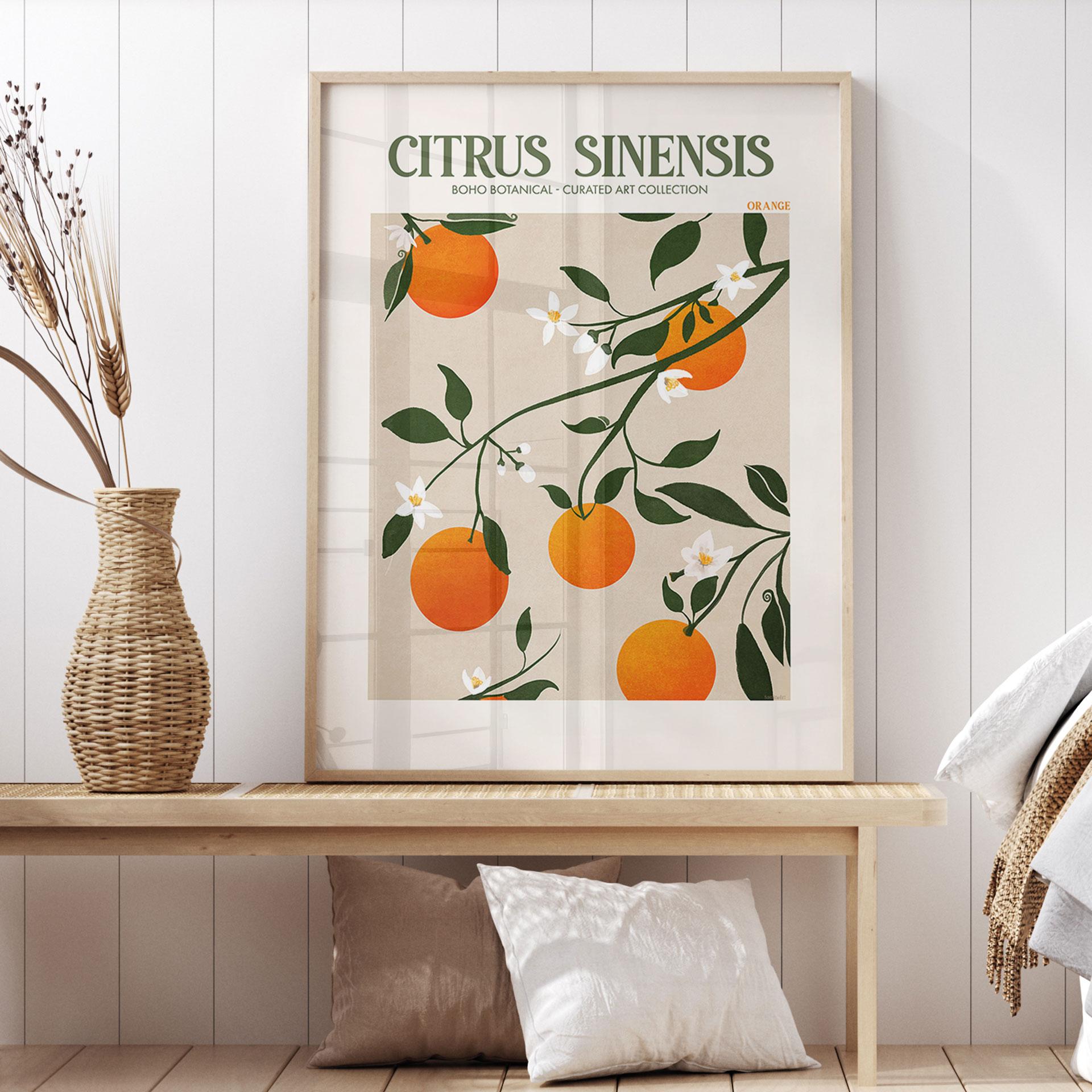 Plakat Boho-appelsintræ - Citrus Sinensis - Tunaboylu