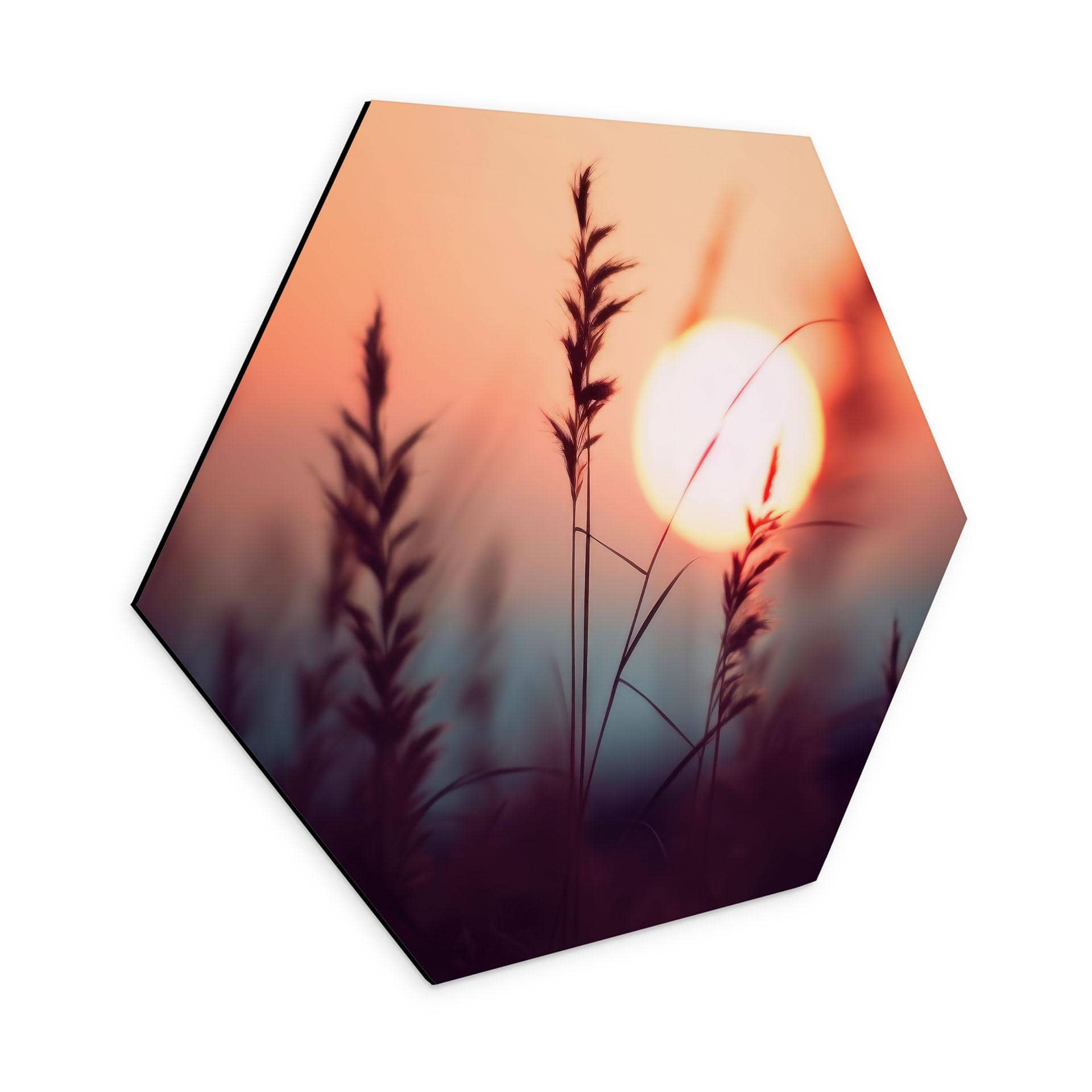 Sekskantet Billede Græsser i lyset af den glødende sol - Treechild - Aluminium Dibond