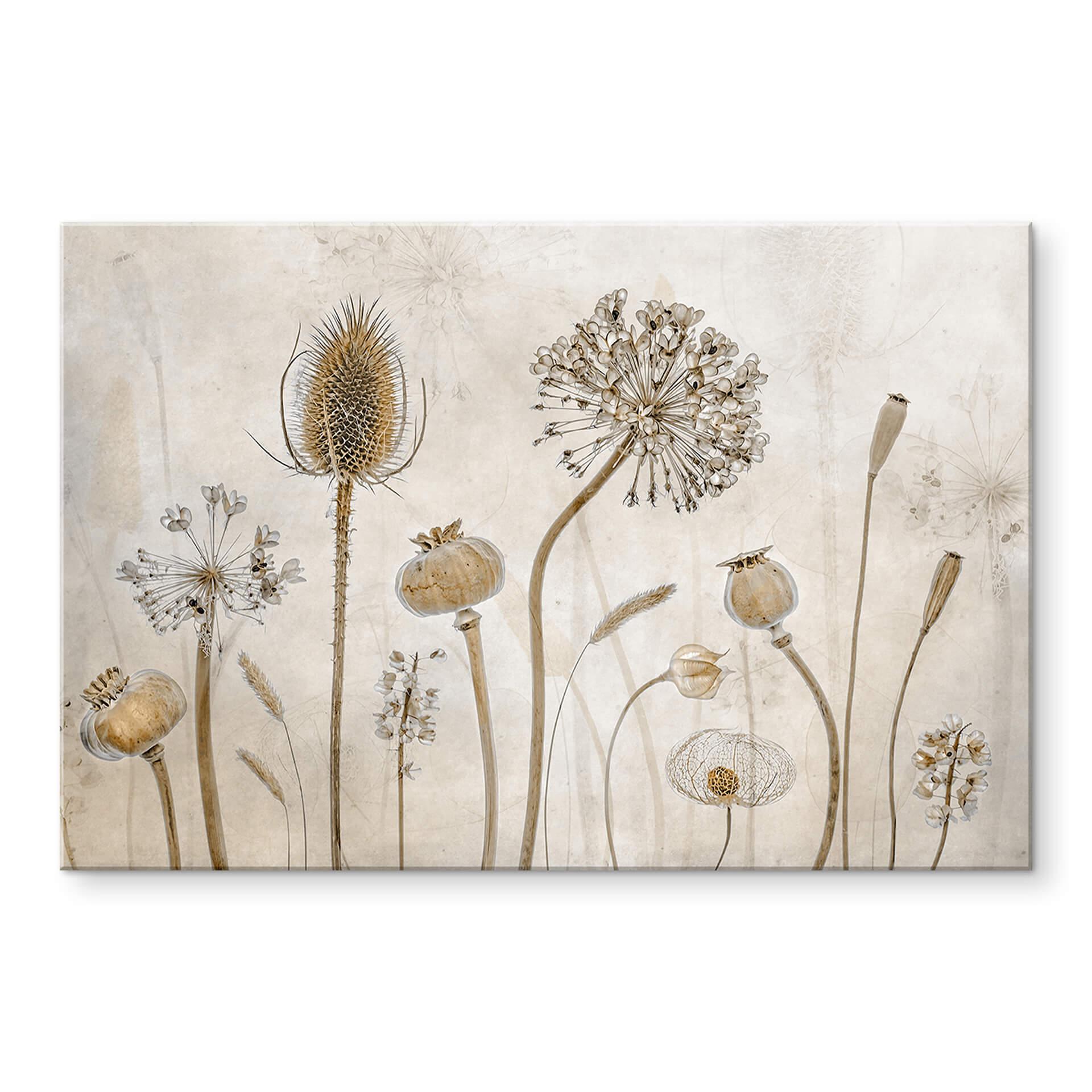 Akrylbillede Disher - tørrede blomster