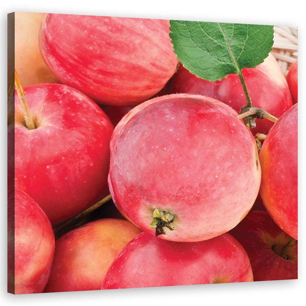 Canvasbillede, Makro - æblefrugt