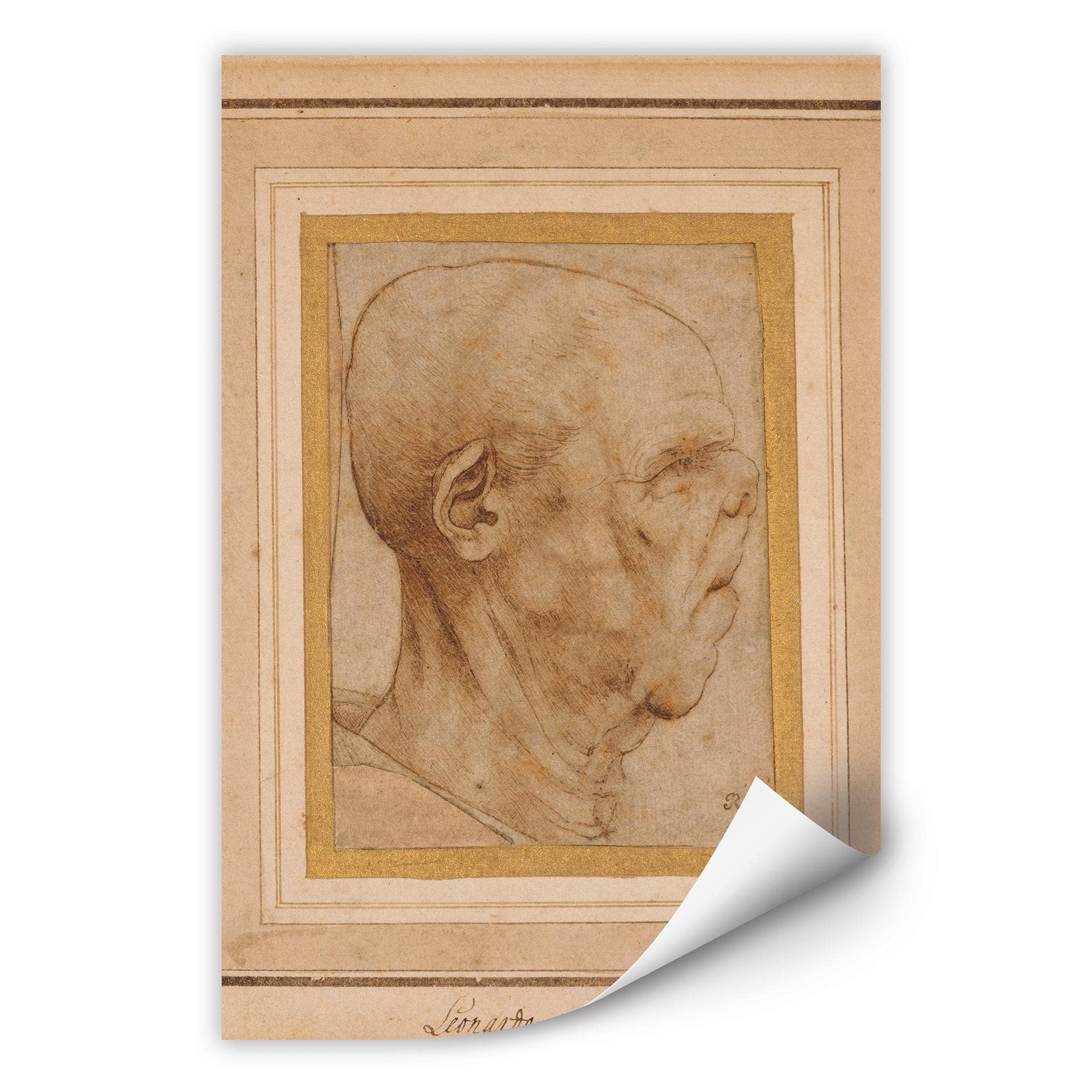 Wallprint W - Da Vinci - Karrikatur eines Männerkopfes