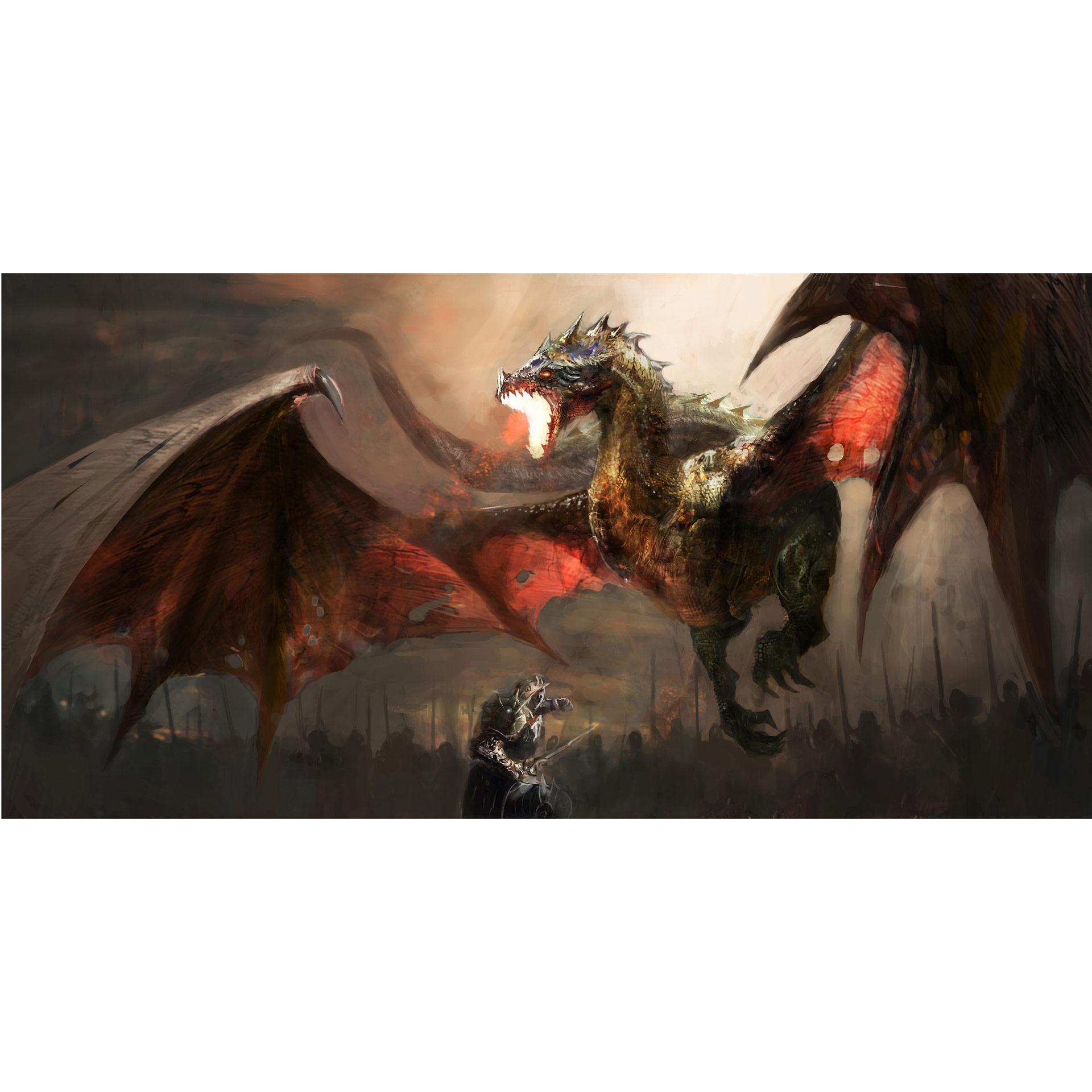 Fotobehang Drakengevecht