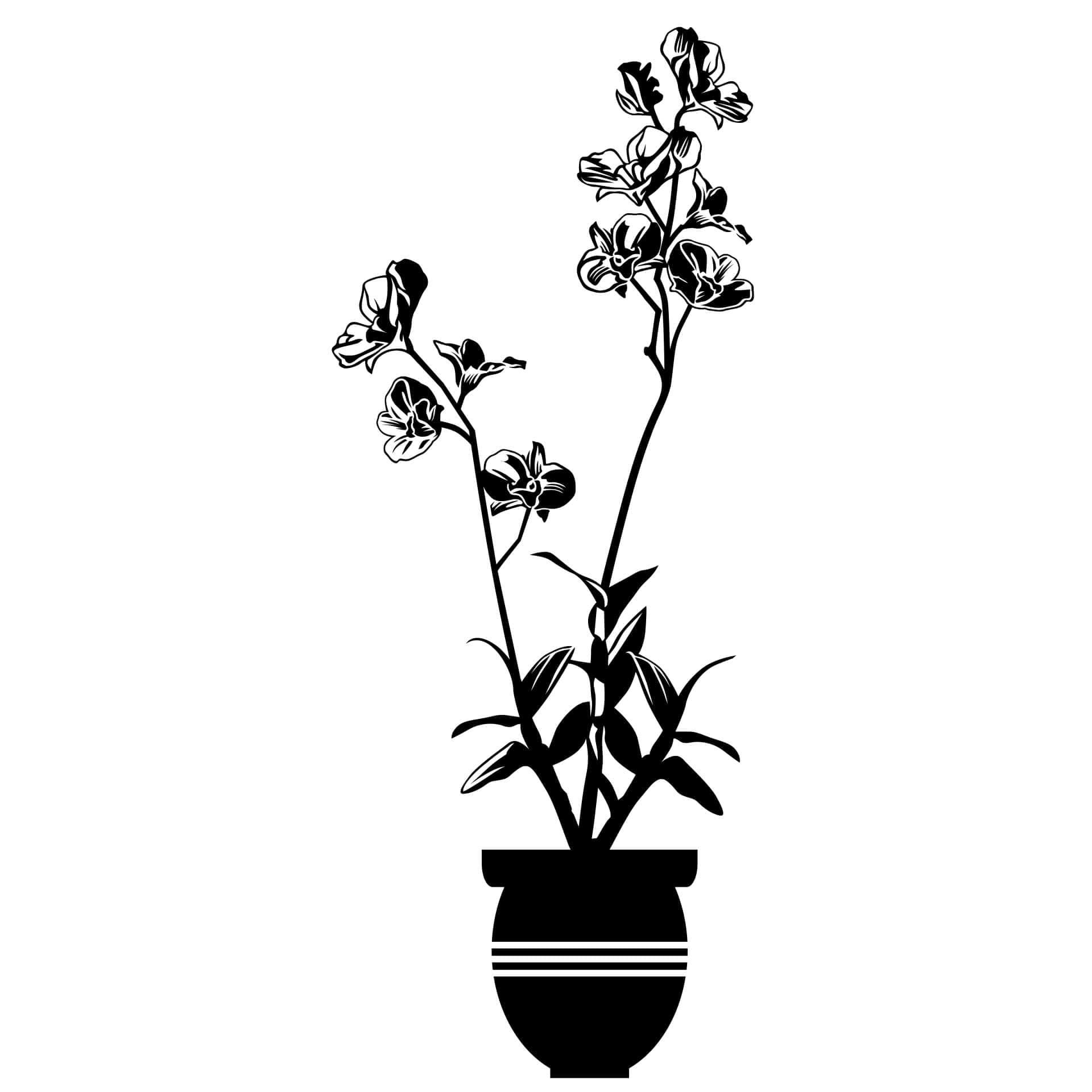 Muursticker Orchidee 3
