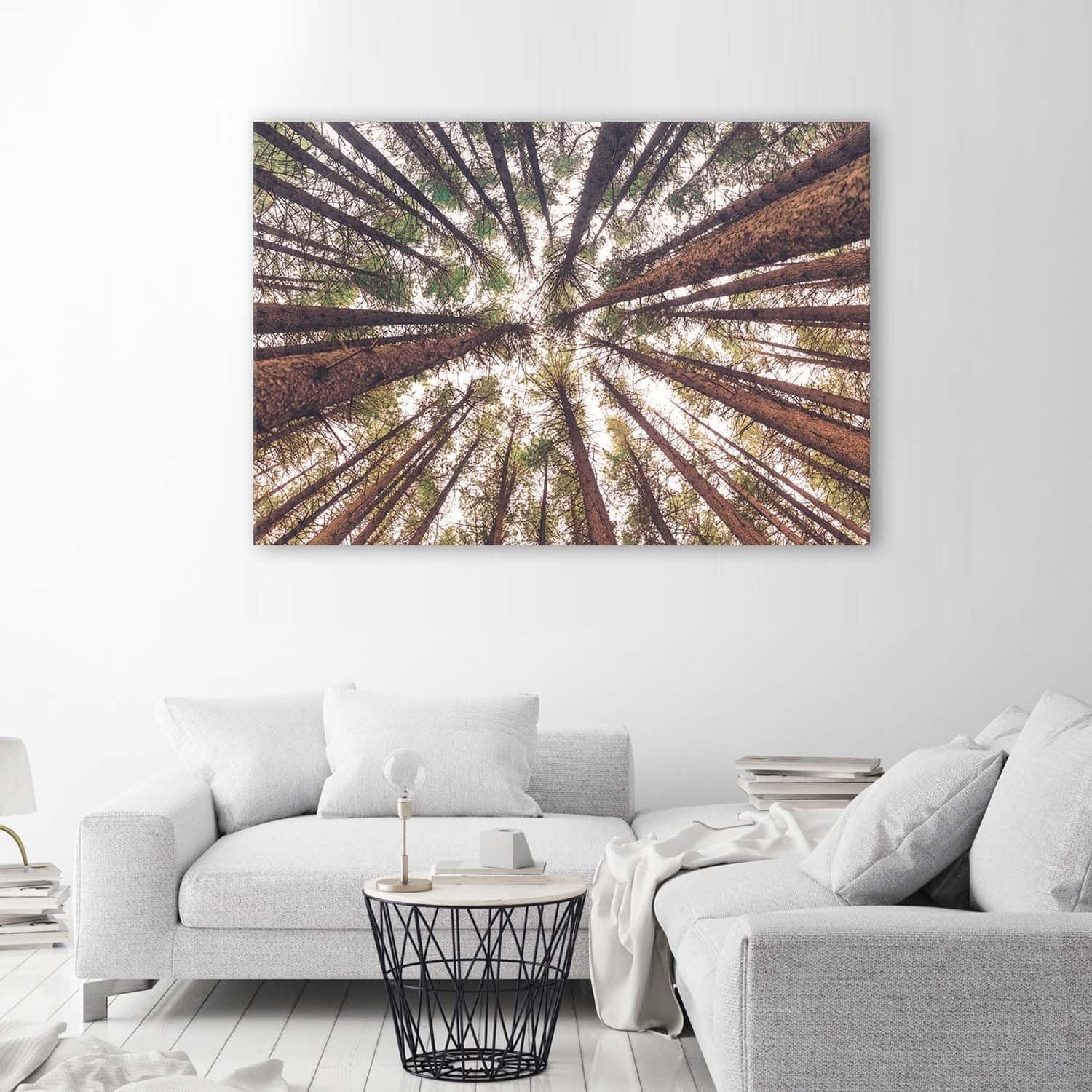 Canvasbillede, Træ skov natur