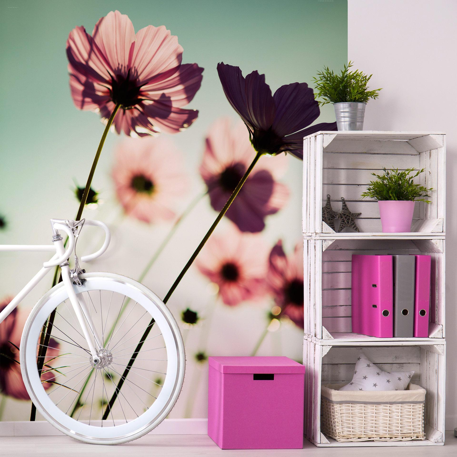 Papier peint photo Cosmos roses - 192x260 cm