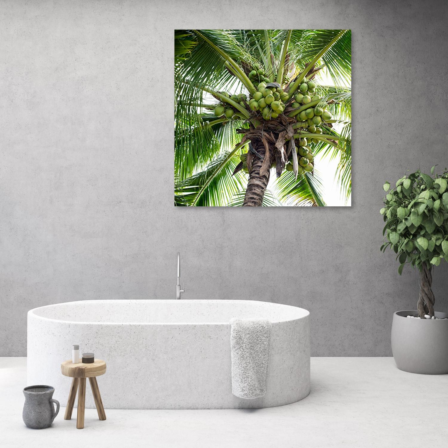 Canvasbillede, kokospalme