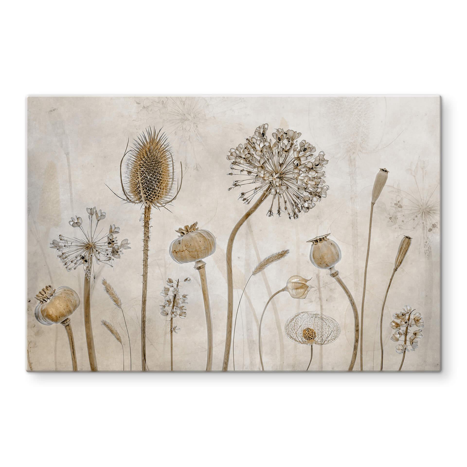 Spatscherm Disher - Gedroogde Bloemen