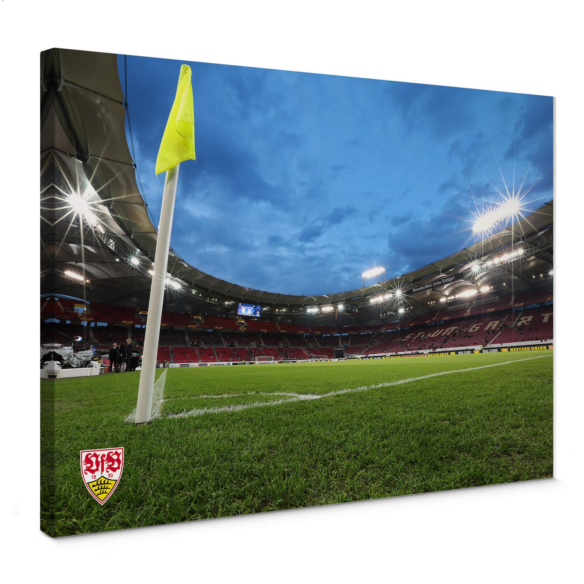Lienzo VfB Stuttgart Arena noche