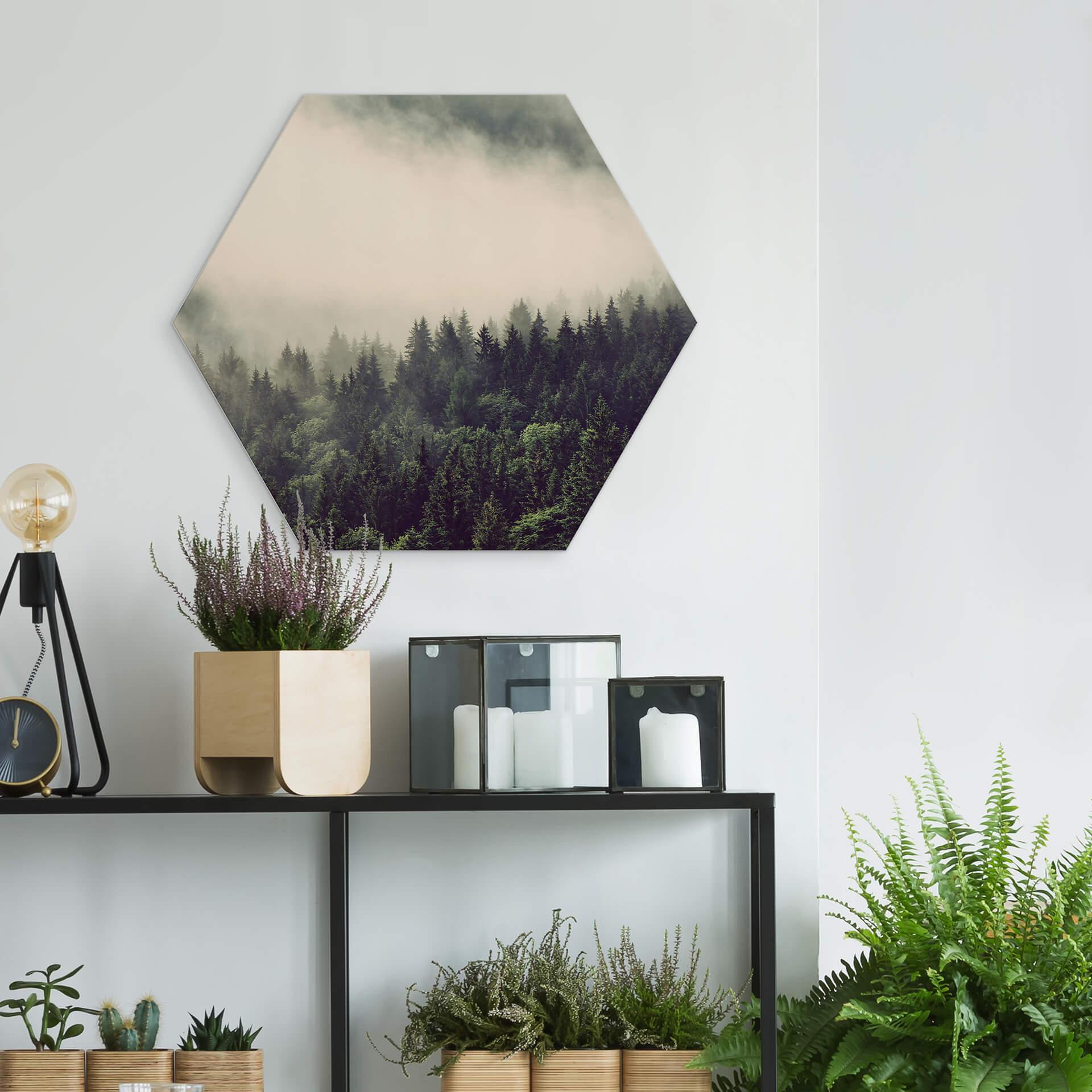 Hexagon Dibond Nevel in het Bos 02