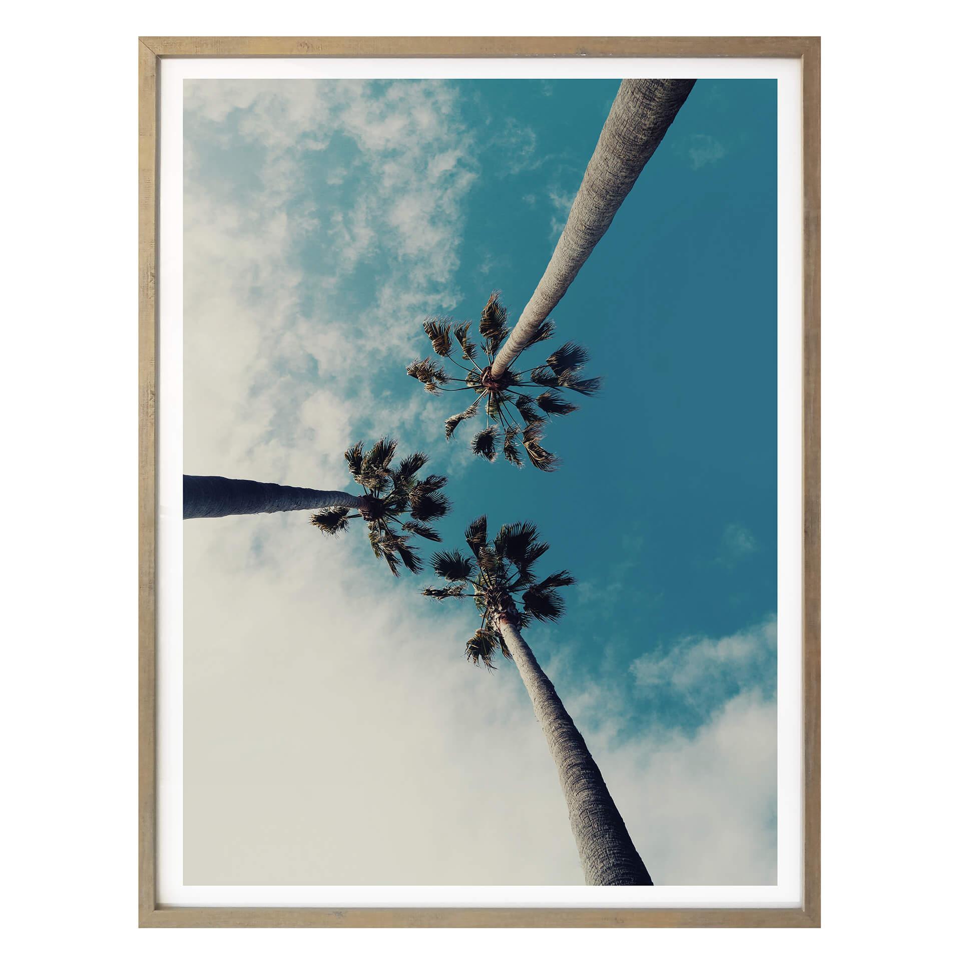 Plakat - Palmer 03