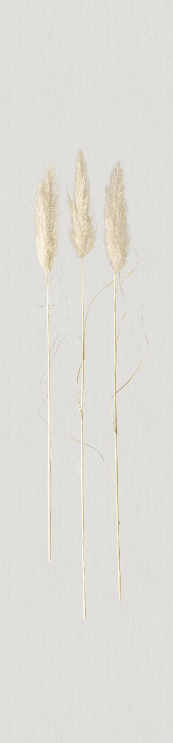 Non-woven tapet, non-woven tapet Naturlig Opulens Grå Grafisk 3,30 x 0,70 cm