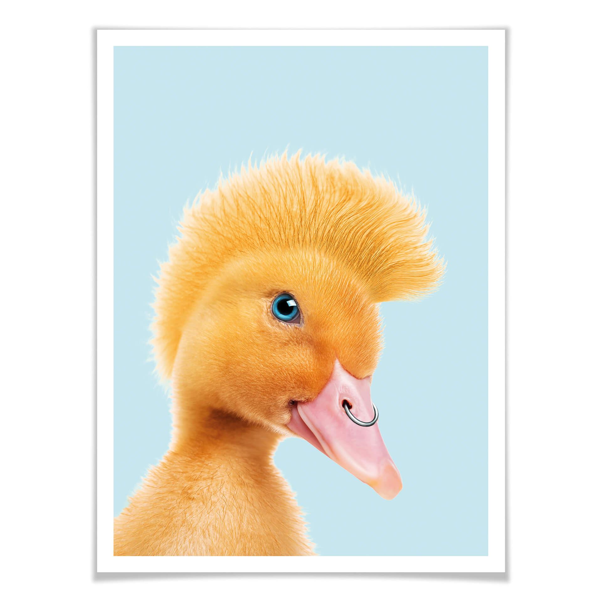 Plakat Loose - Rebel Duckling