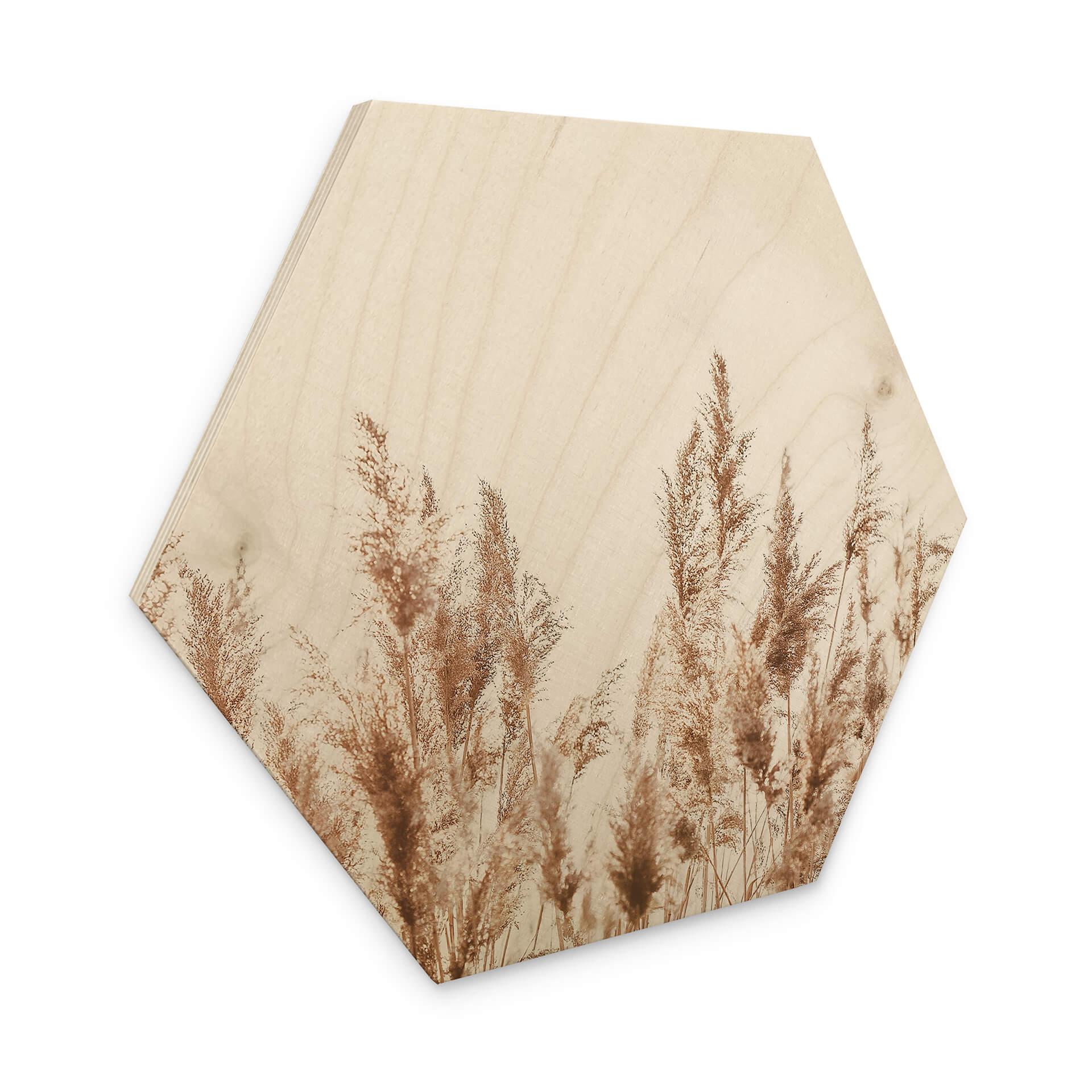 Hexagone - Bois Roseau