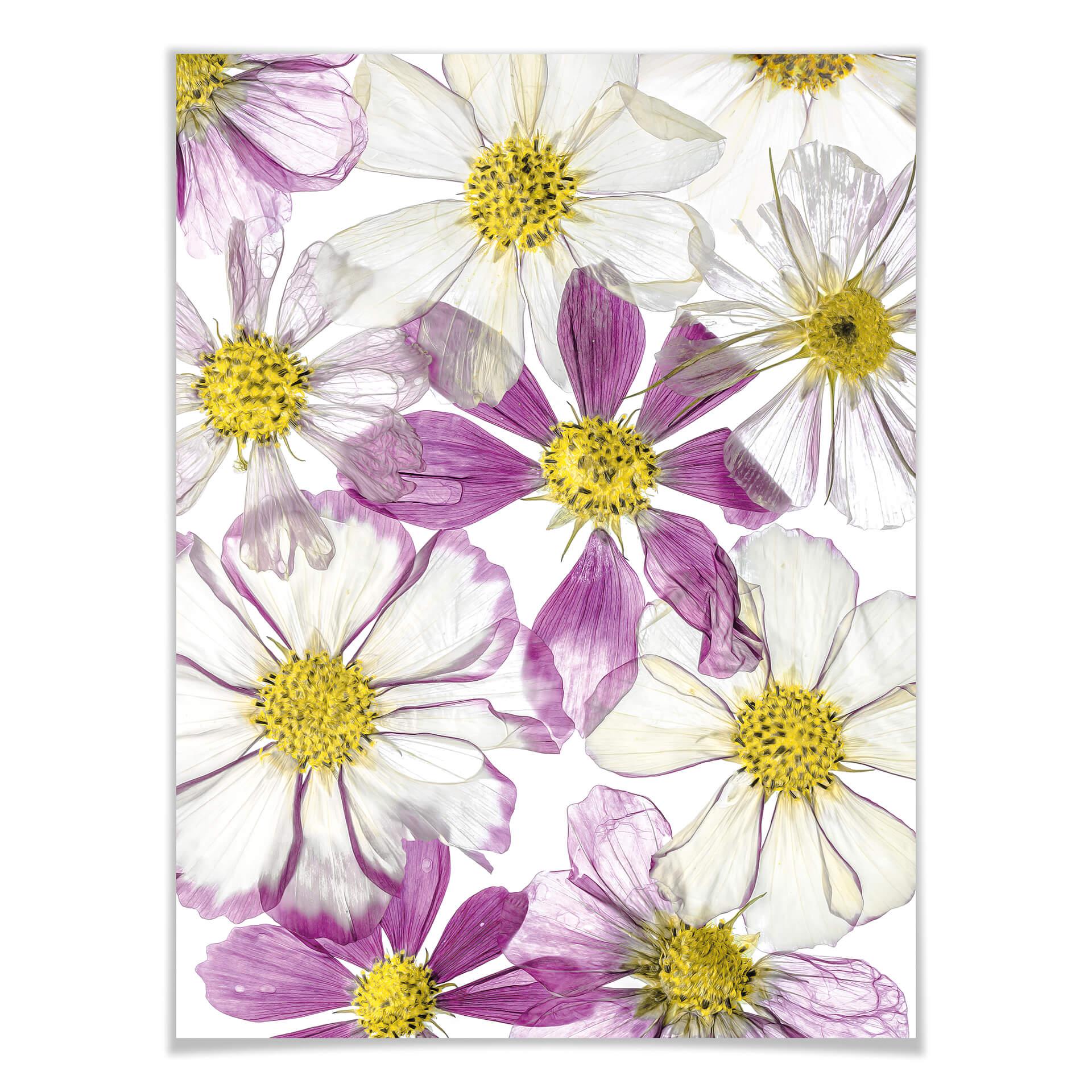 Plakat Disher - Utrzymanie lata