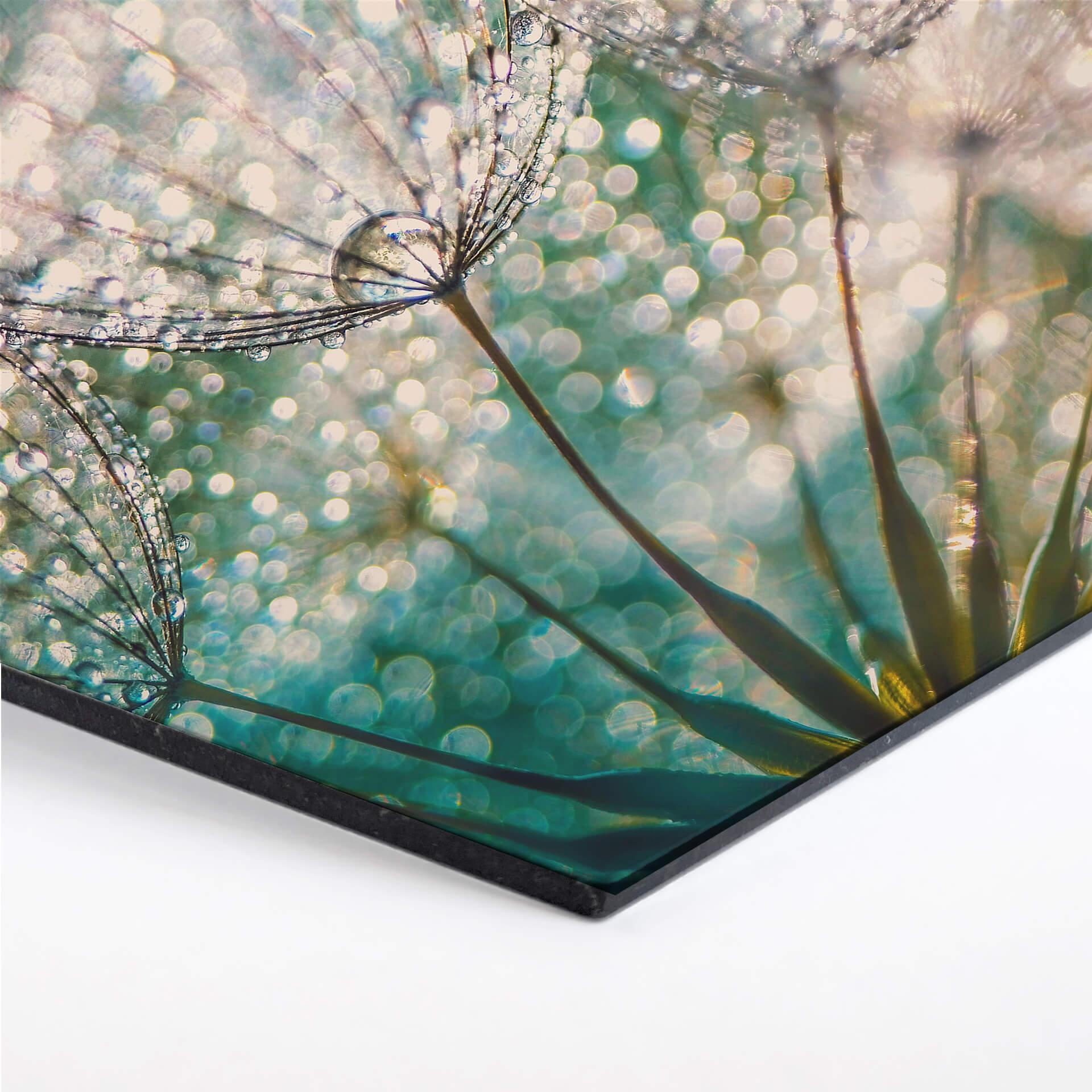 Hexagon - Alu-Dibond - Delgado - Glittery Dandelions