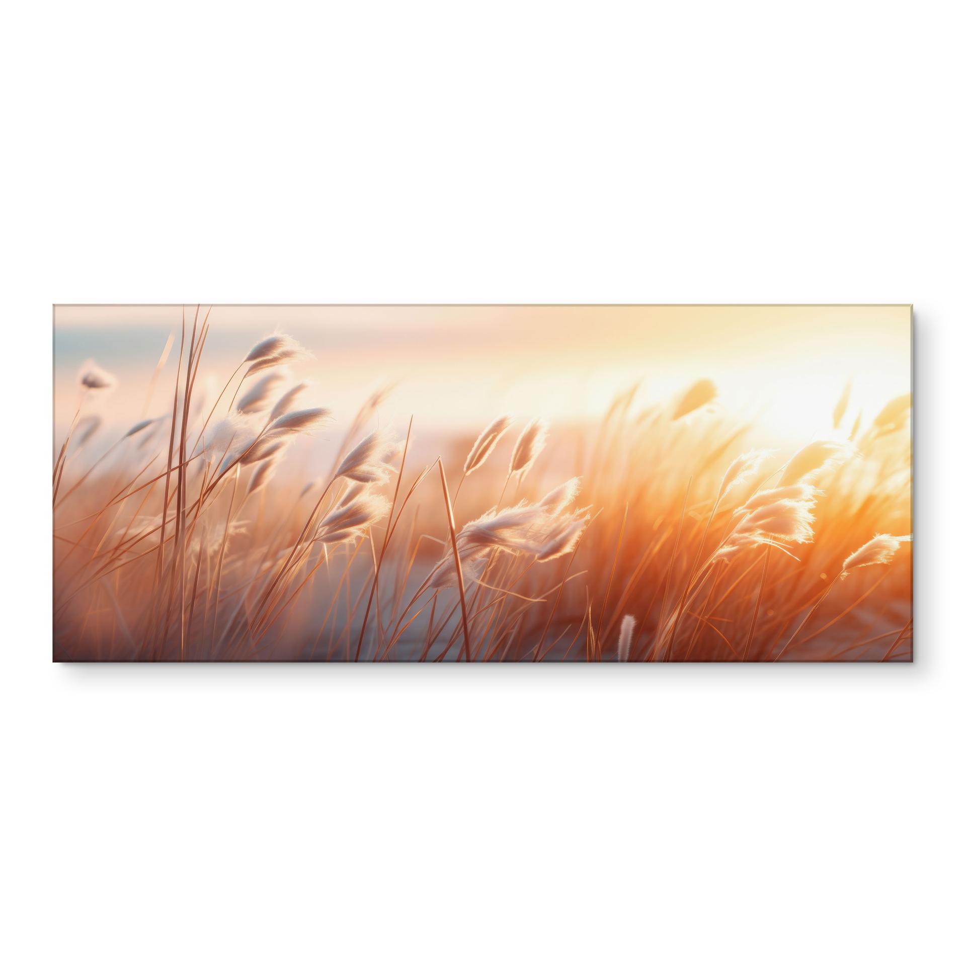 Keukenachterwand duingras in de avondzon - Treechild