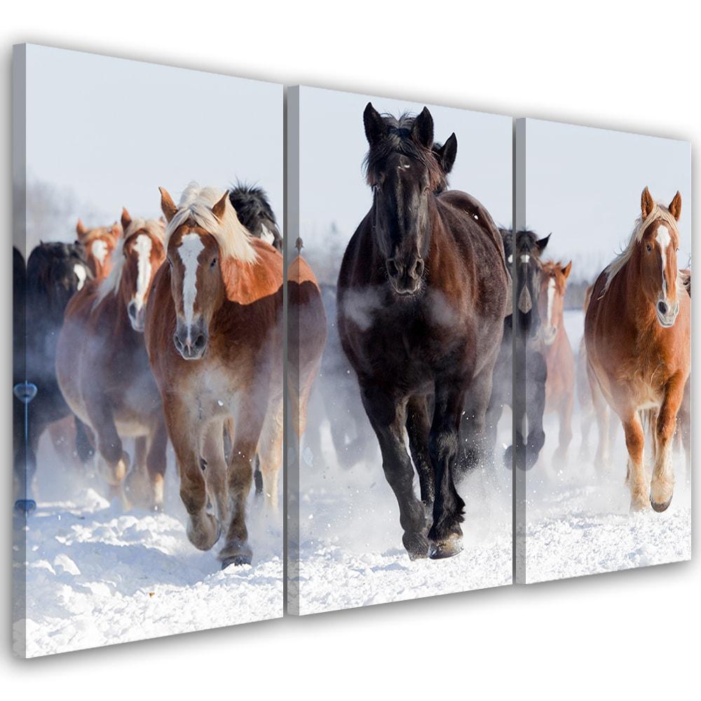 3 stykke lærredsprint, Quarter Horses galopperende vinter