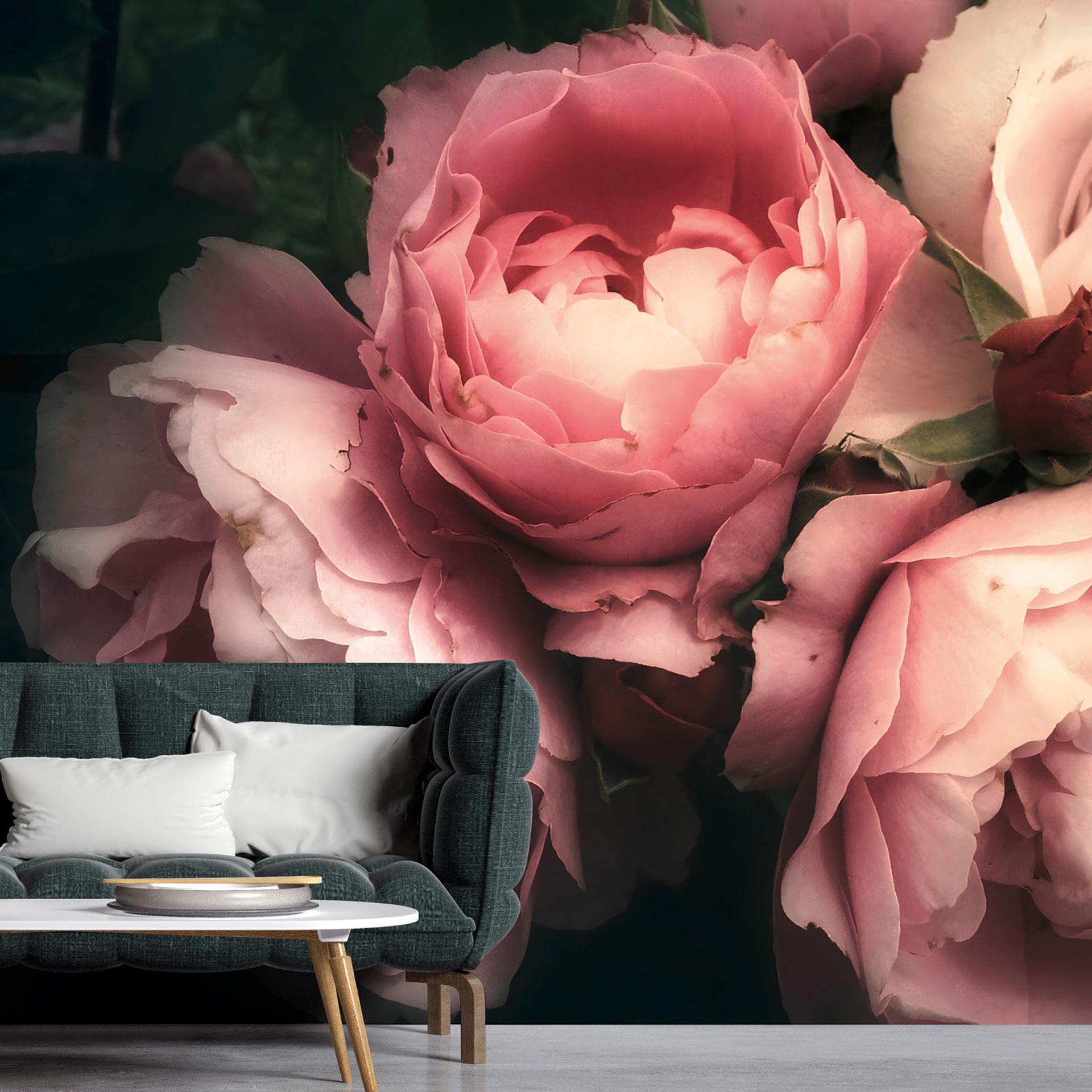 Fototapet pink hvid mørk - Ikke-vævet tapet 3,75 m x 2,50 m blomstermotiv