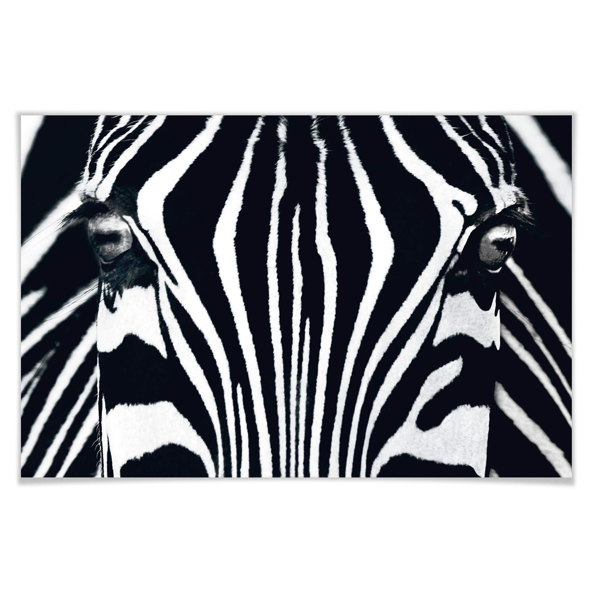 Giant Art® XXL-Poster Black & White - 175x115 cm