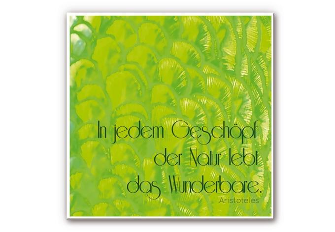 Wandbild In jedem Geschöpf der Natur (5-teilig)