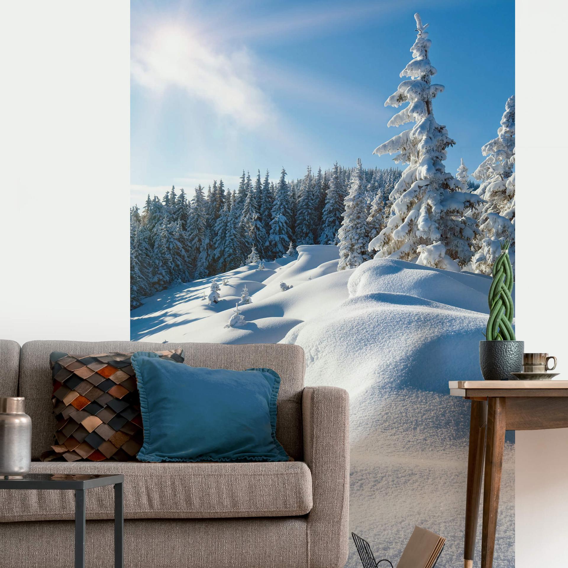 Fototapete Snowdrifts on Winter Snow 144x260 cm