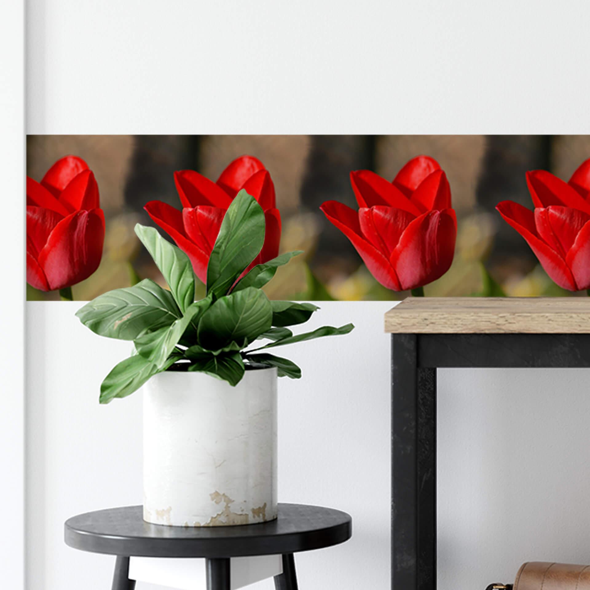 Sierrand Tulp