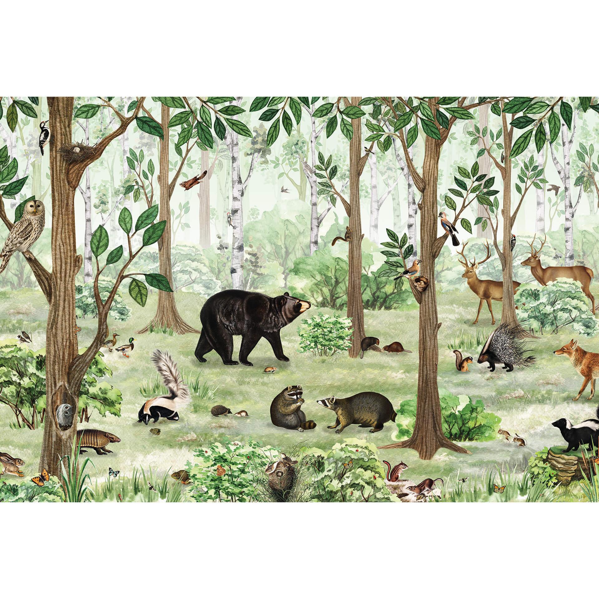 Fotobehang Kikki Belle - Look into the Forest