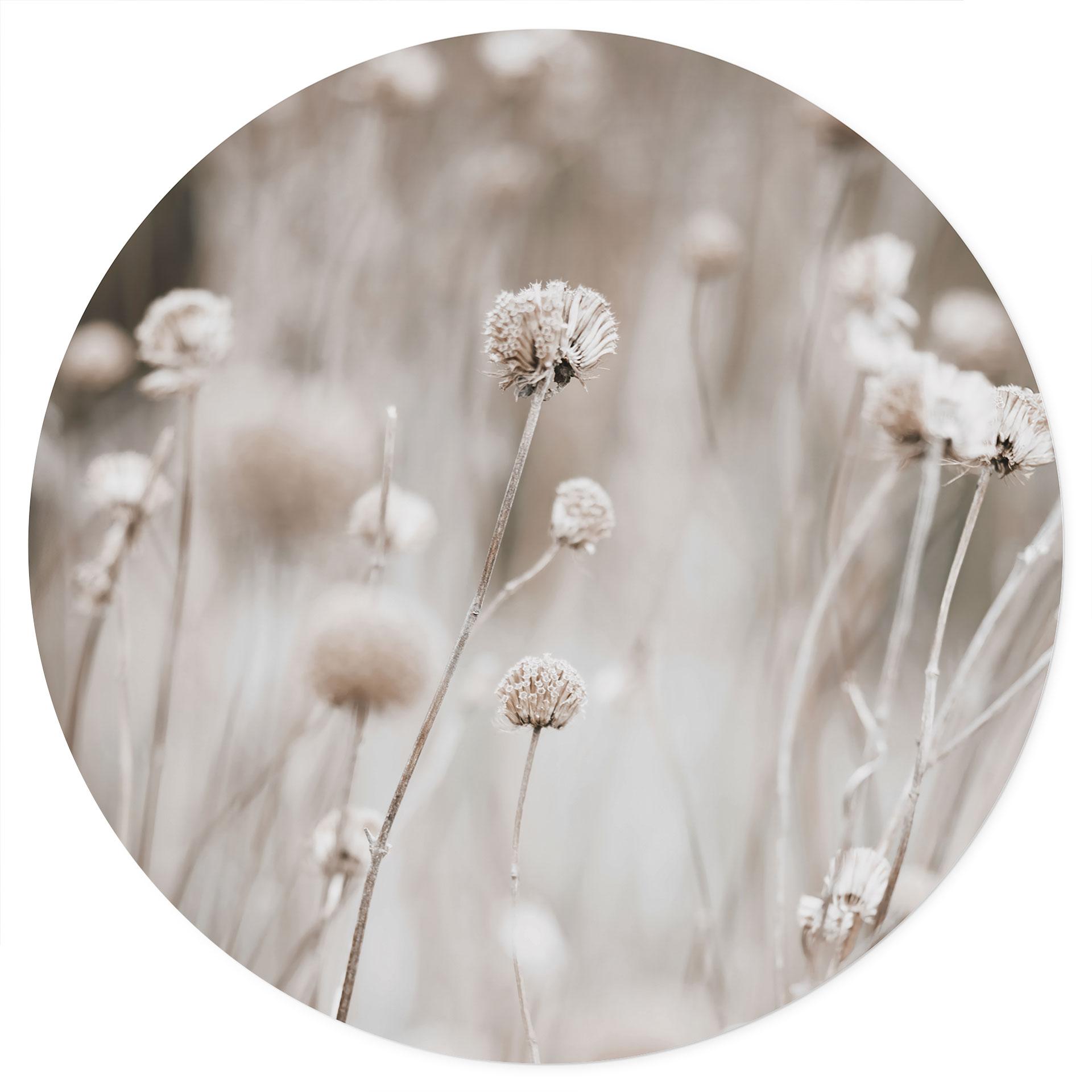 Tørrede blomster i bløde toner Wallsticker - Annie - Rund