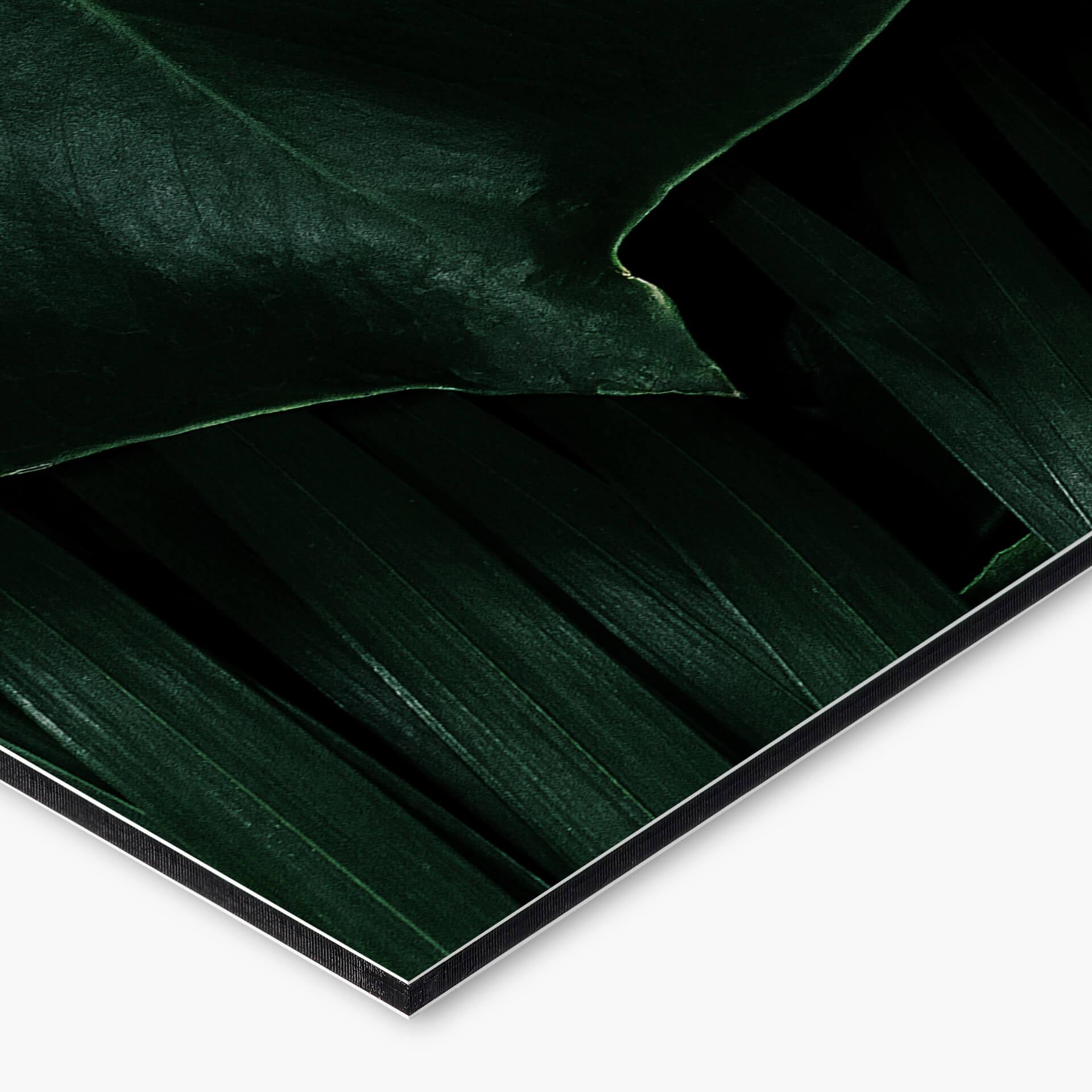 Keukenachterwand Dark Green Jungle