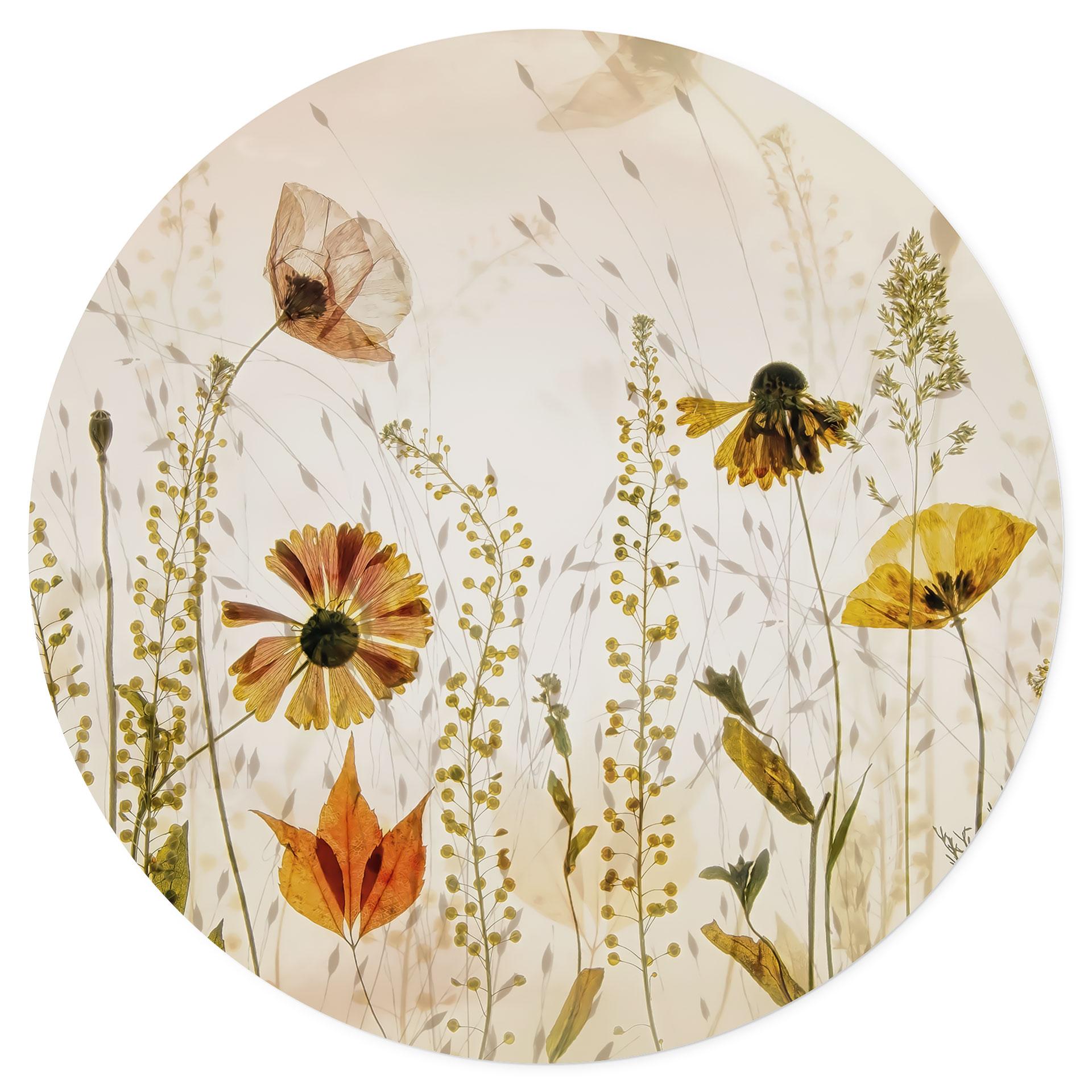 Muursticker Wilde weidebloemen in het zonlicht - Talen - Rond