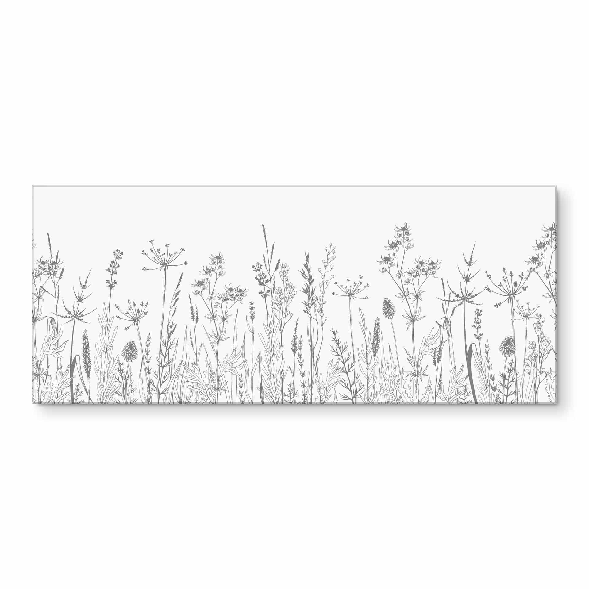 Keukenachterwand Geillustreerde Veldbloemen