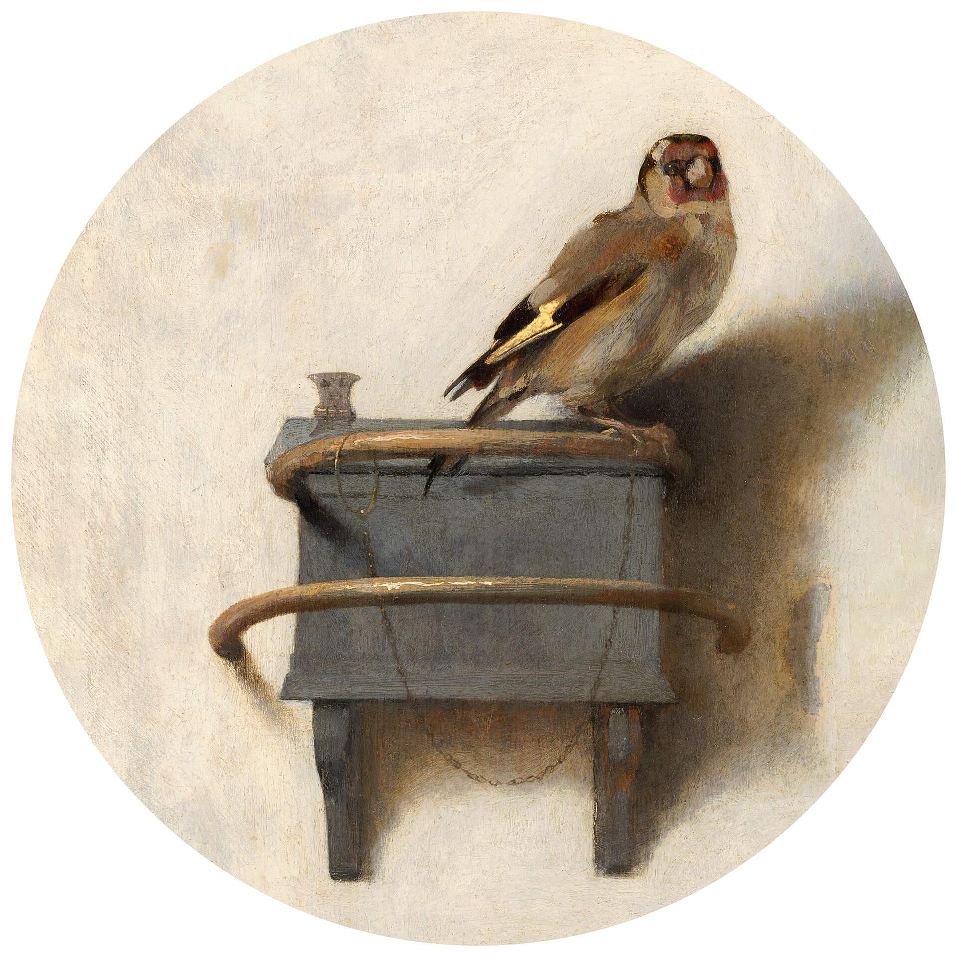 Behangcirkel Fabritius - het Puttertje - vliesbehang/zelfklevend vliesbehang