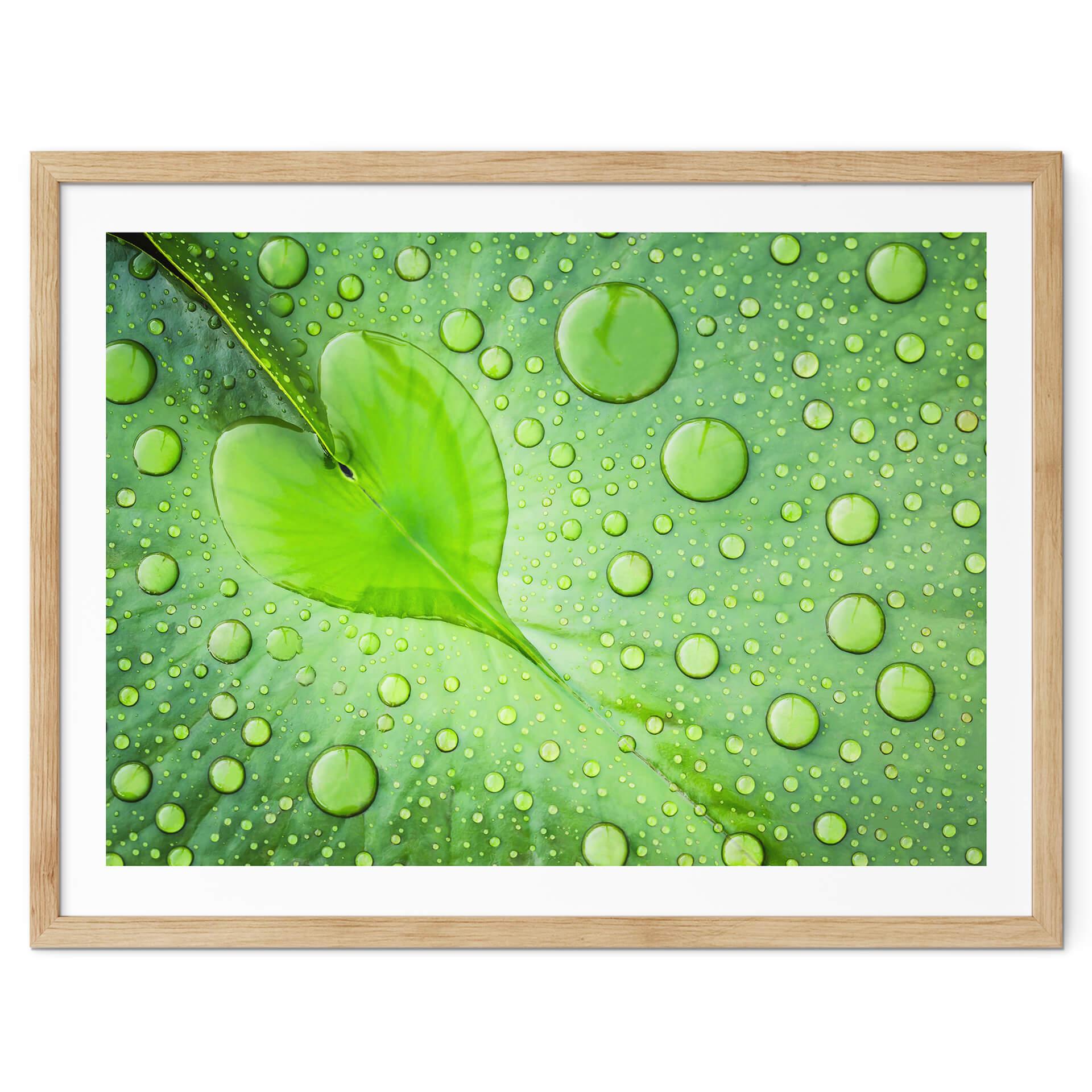 Póster - Corazón de gotas de agua sobre una hoja verde