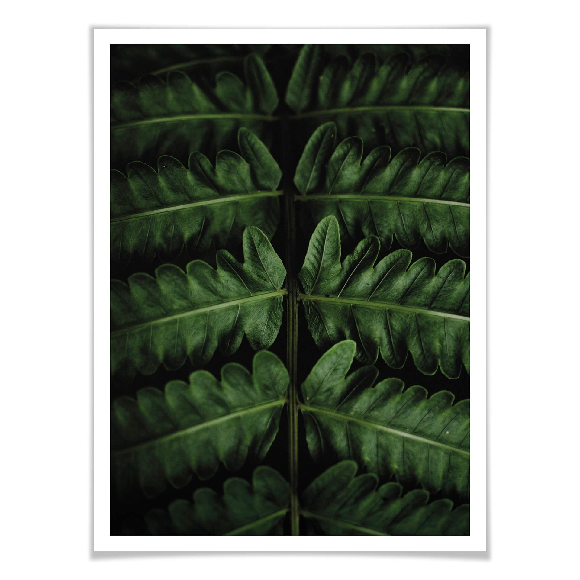 Poster Botanical 02
