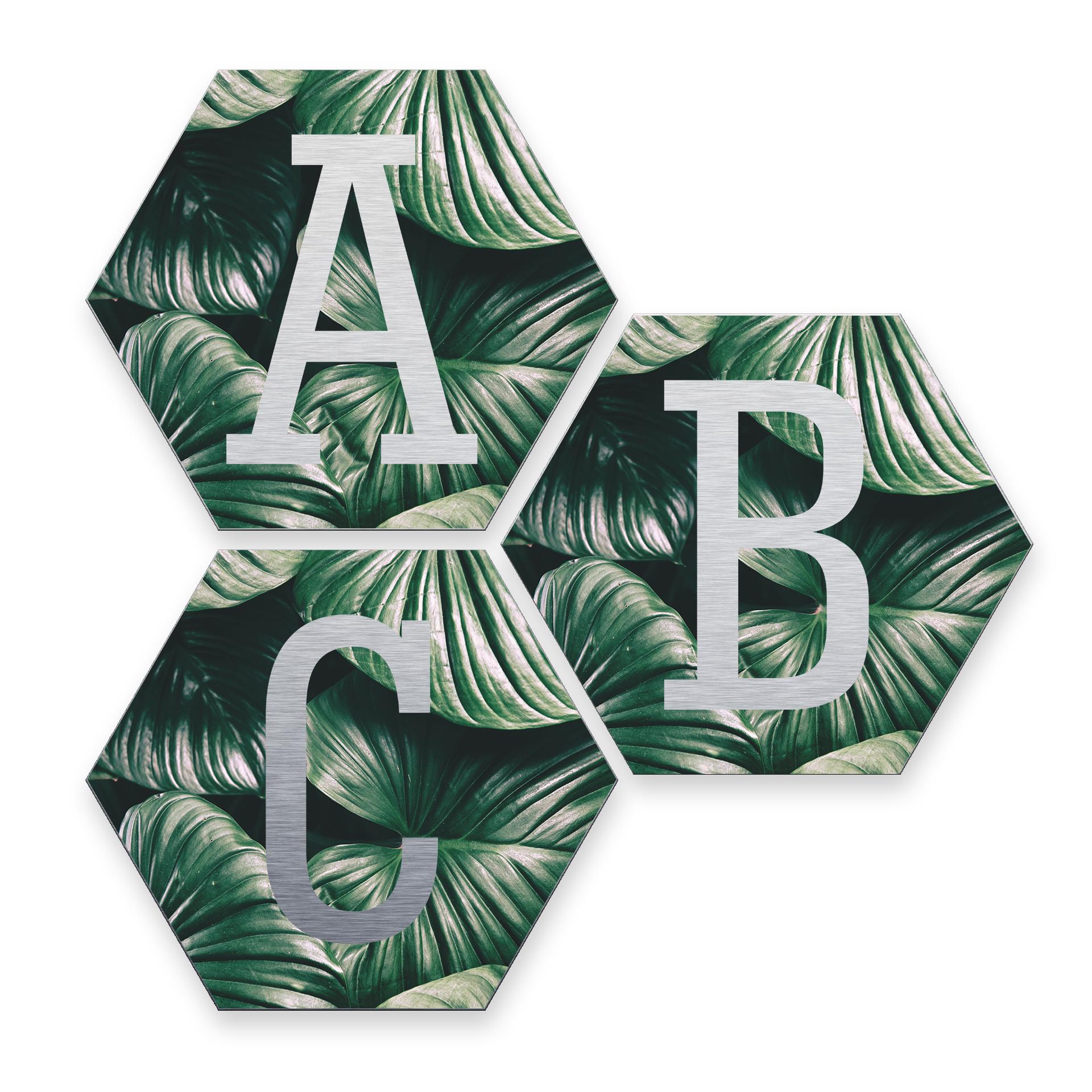 Hexagon bogstaver - Alu-dibond Sølveffekt, Jungle
