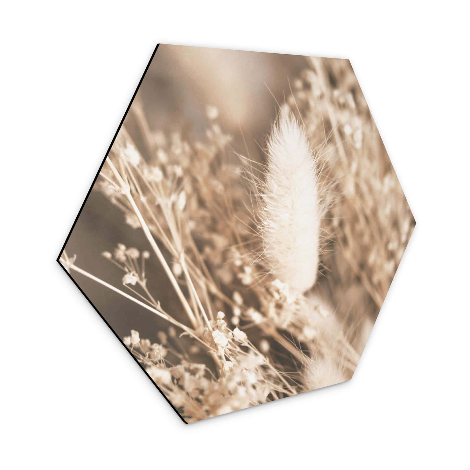 Hexagone - Alu-Dibond Annie - Faisceau d'herbes