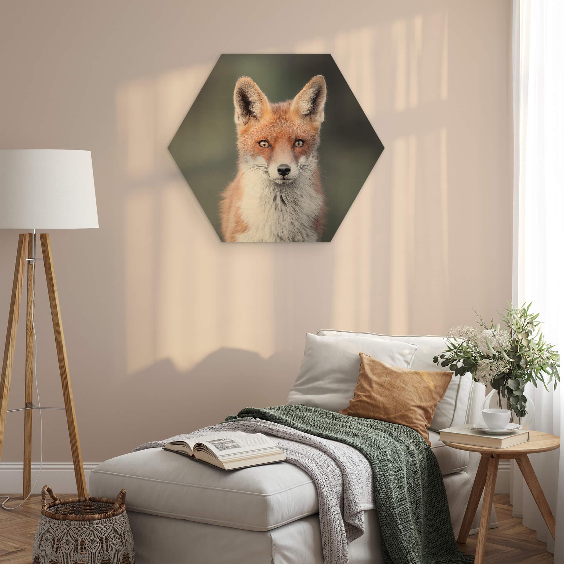 Hexagon Hout van Duijn - Fox Eyes