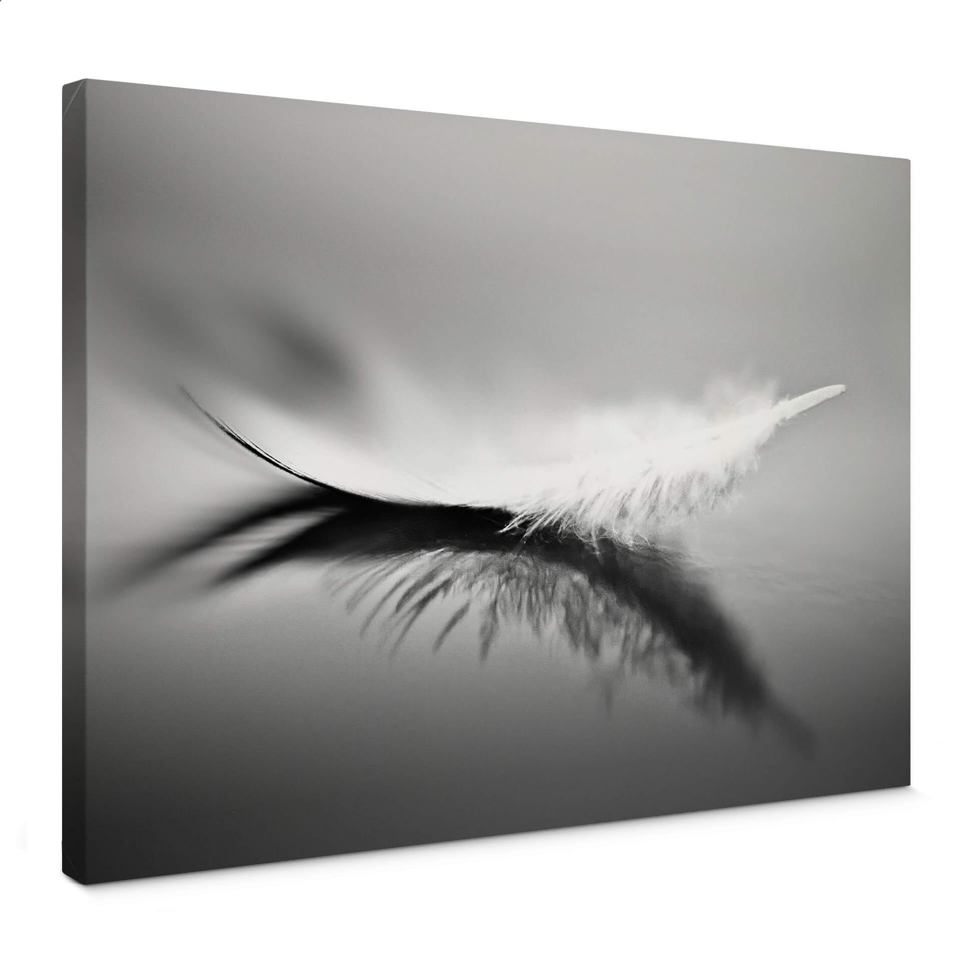 Canvasbillede - Coutinho - Weightless
