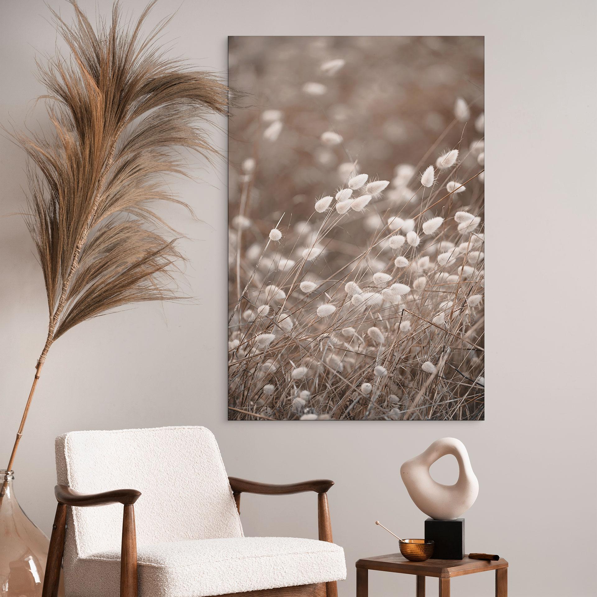 Wandbild Zarte Gräser im Herbstlicht - Collins - Alu-Dibond