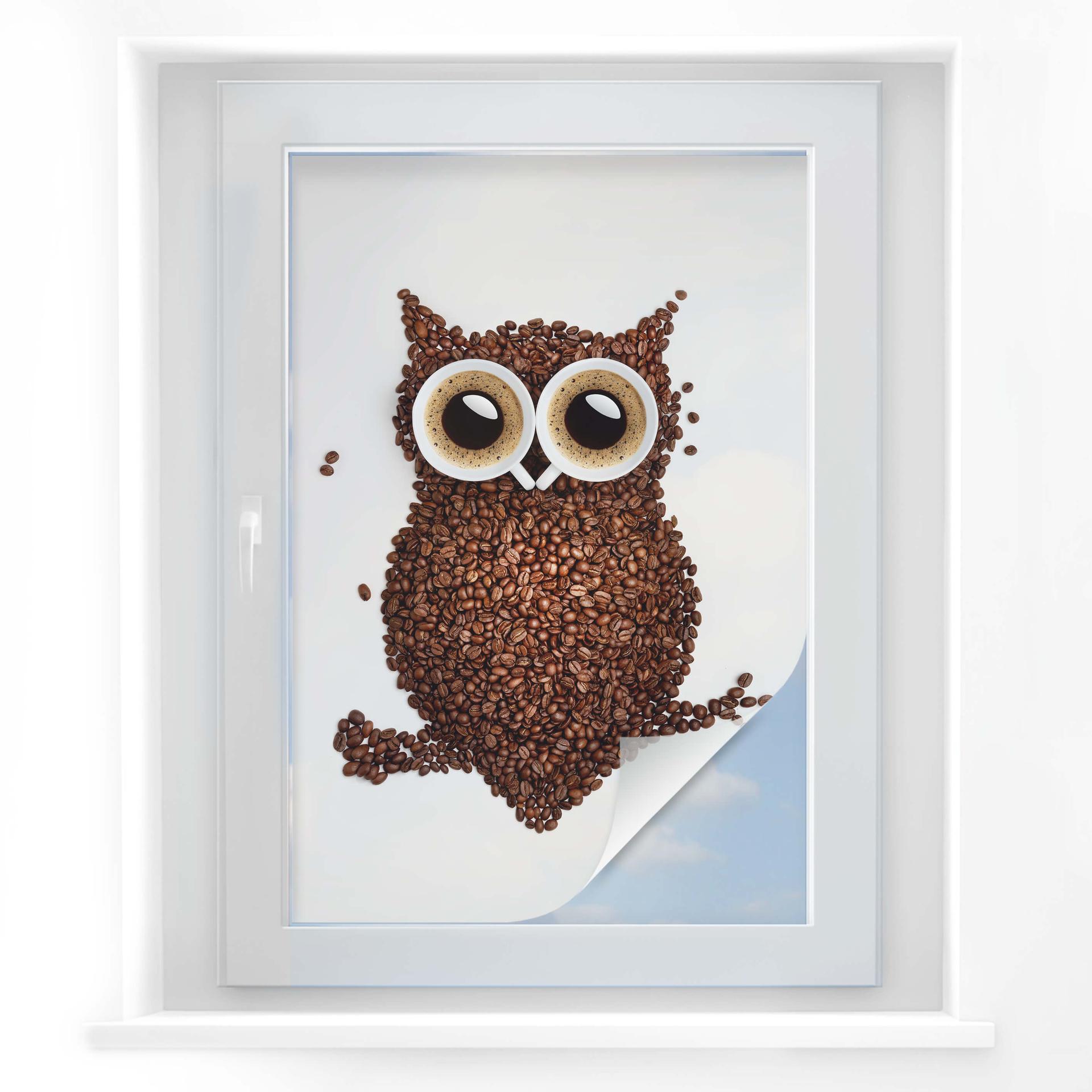 Película de privacidad Coffee owl