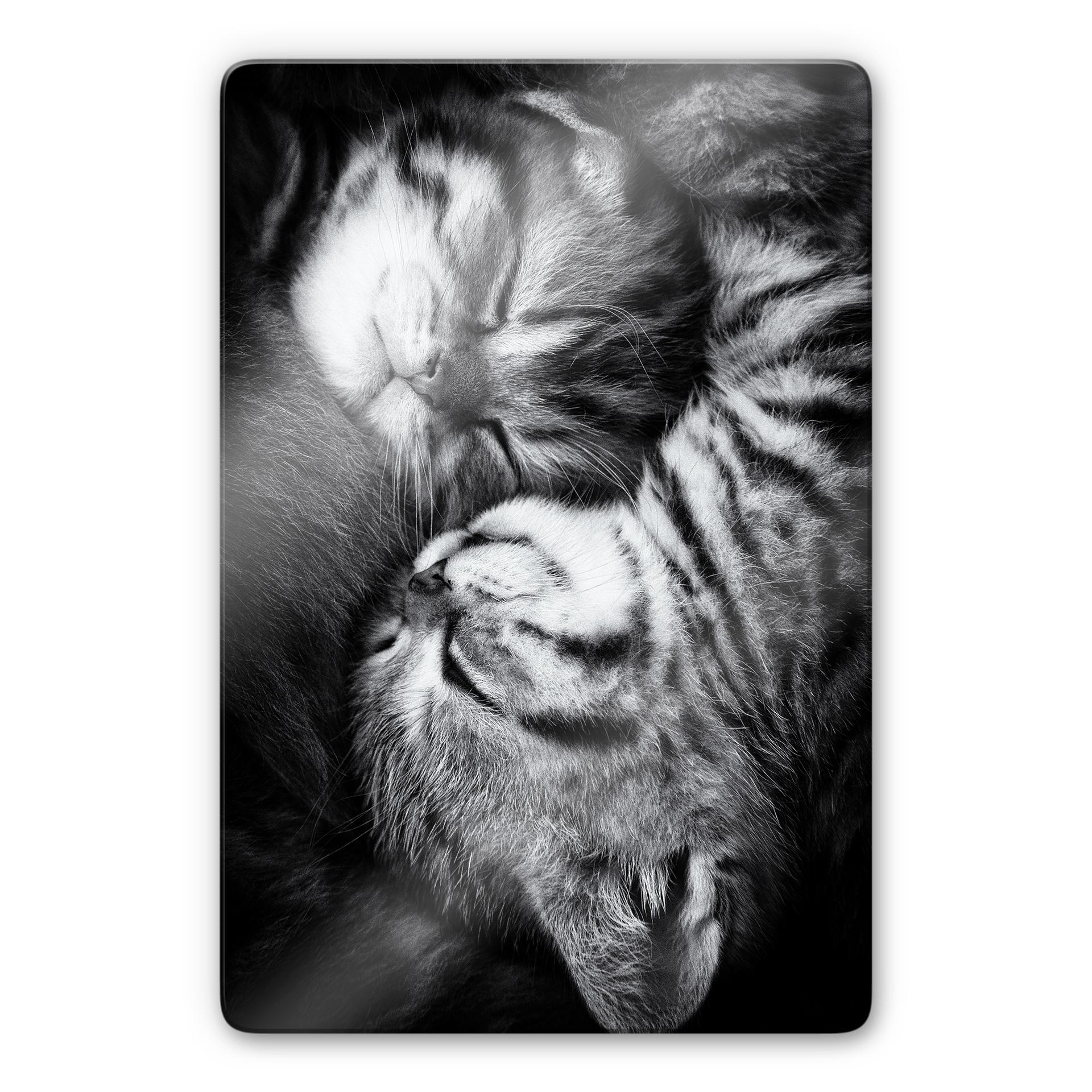 Glasbild Jancova - Sweet Kitten