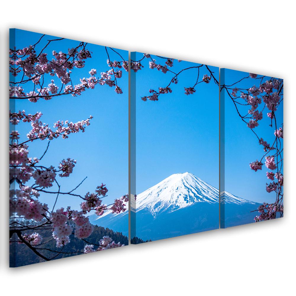 3-delt lærredsprint, Mount Fuji