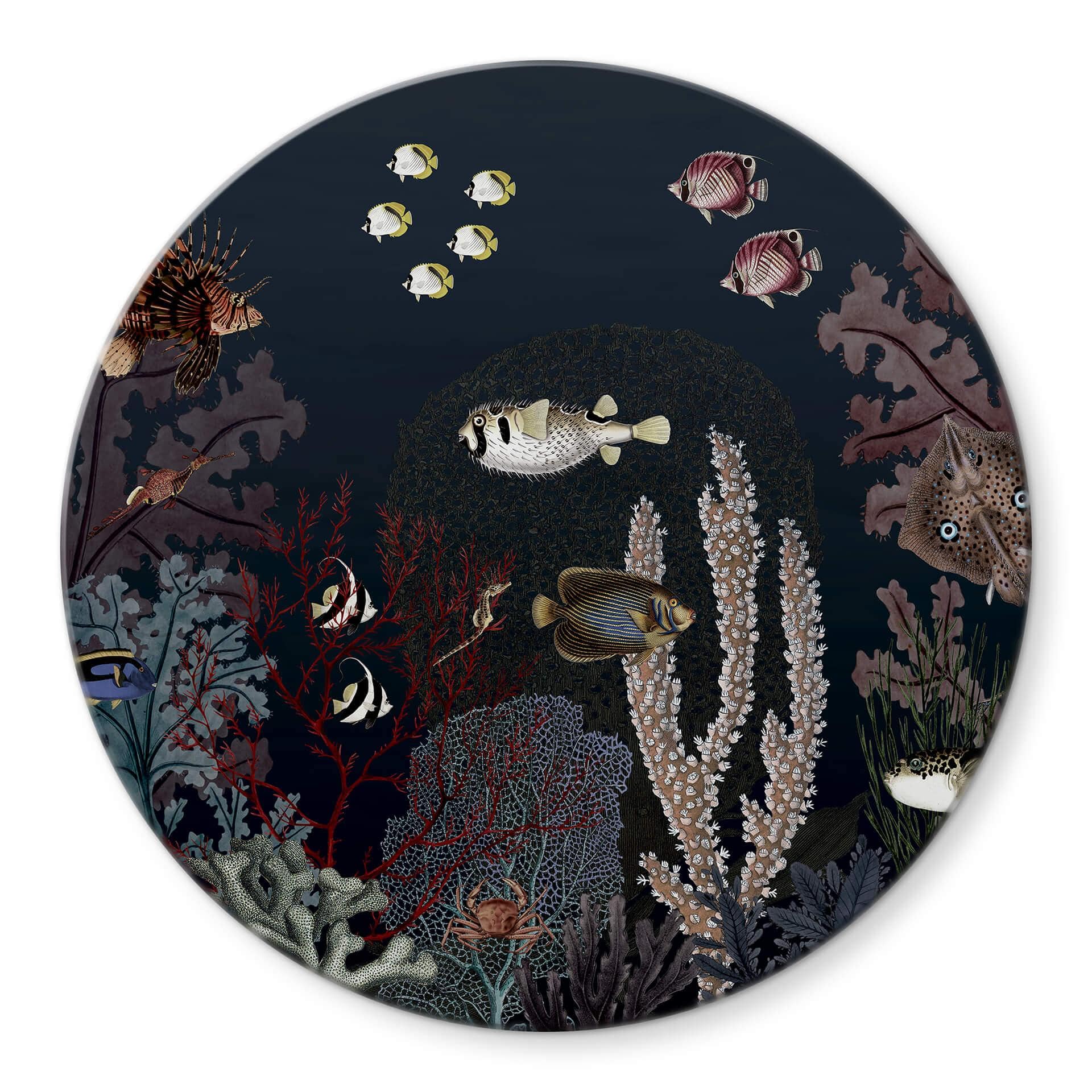 Tableau sur verre Sir Edward - Au fond de l'océan