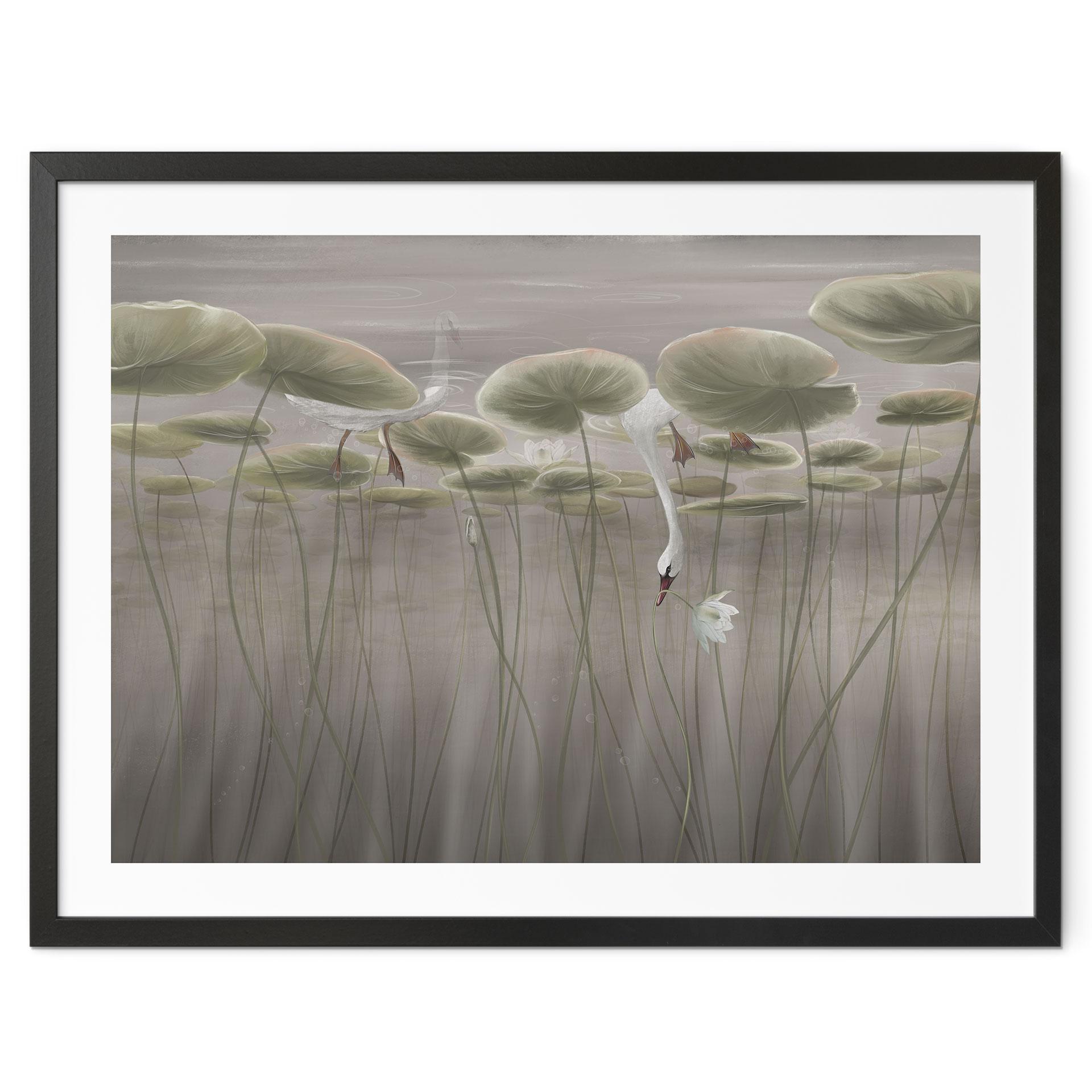 Poster Lotusblumen mit Schwan im Wasser in Grau - Ms Tiff