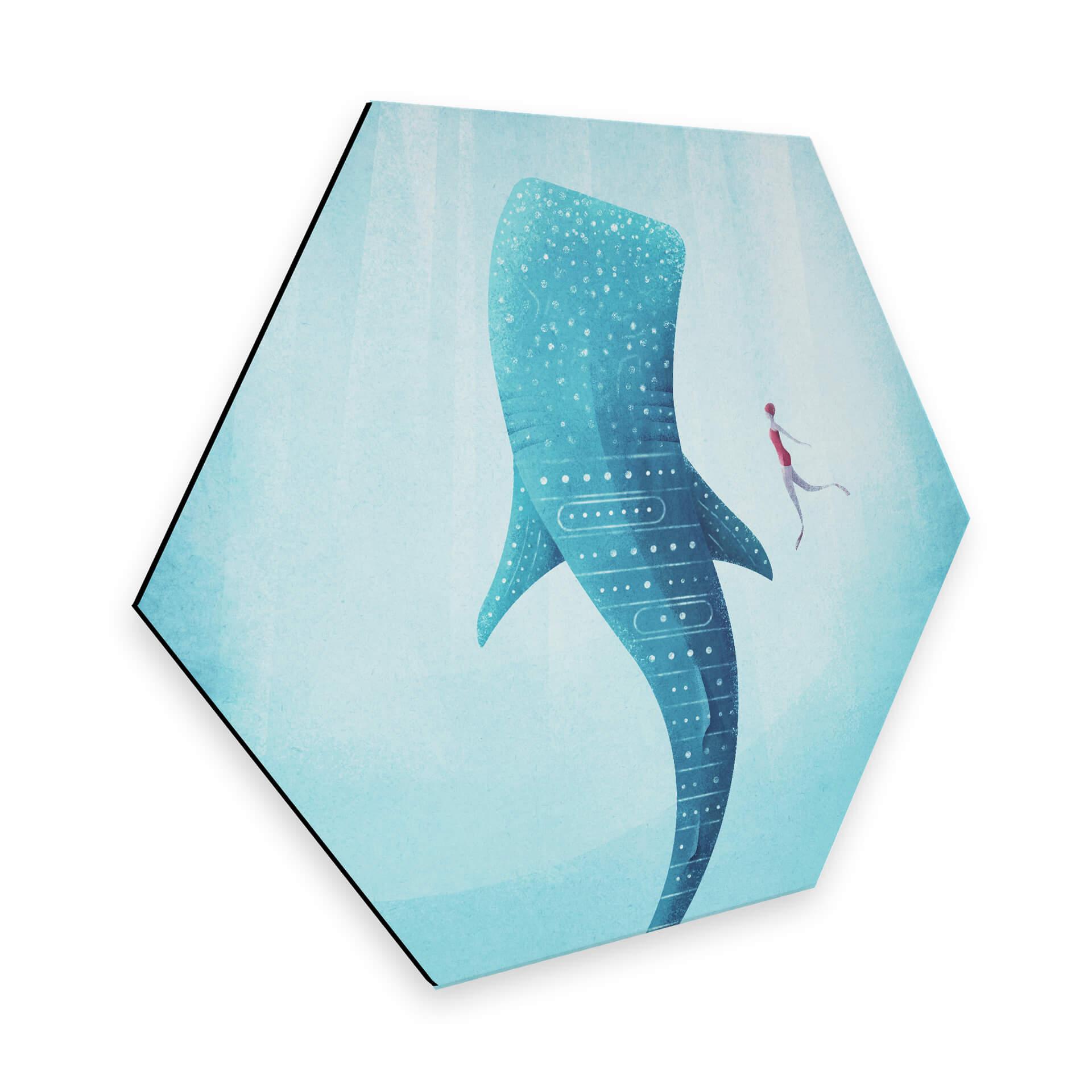 Hexagone - Alu-Dibond Rivers - Le requin baleine