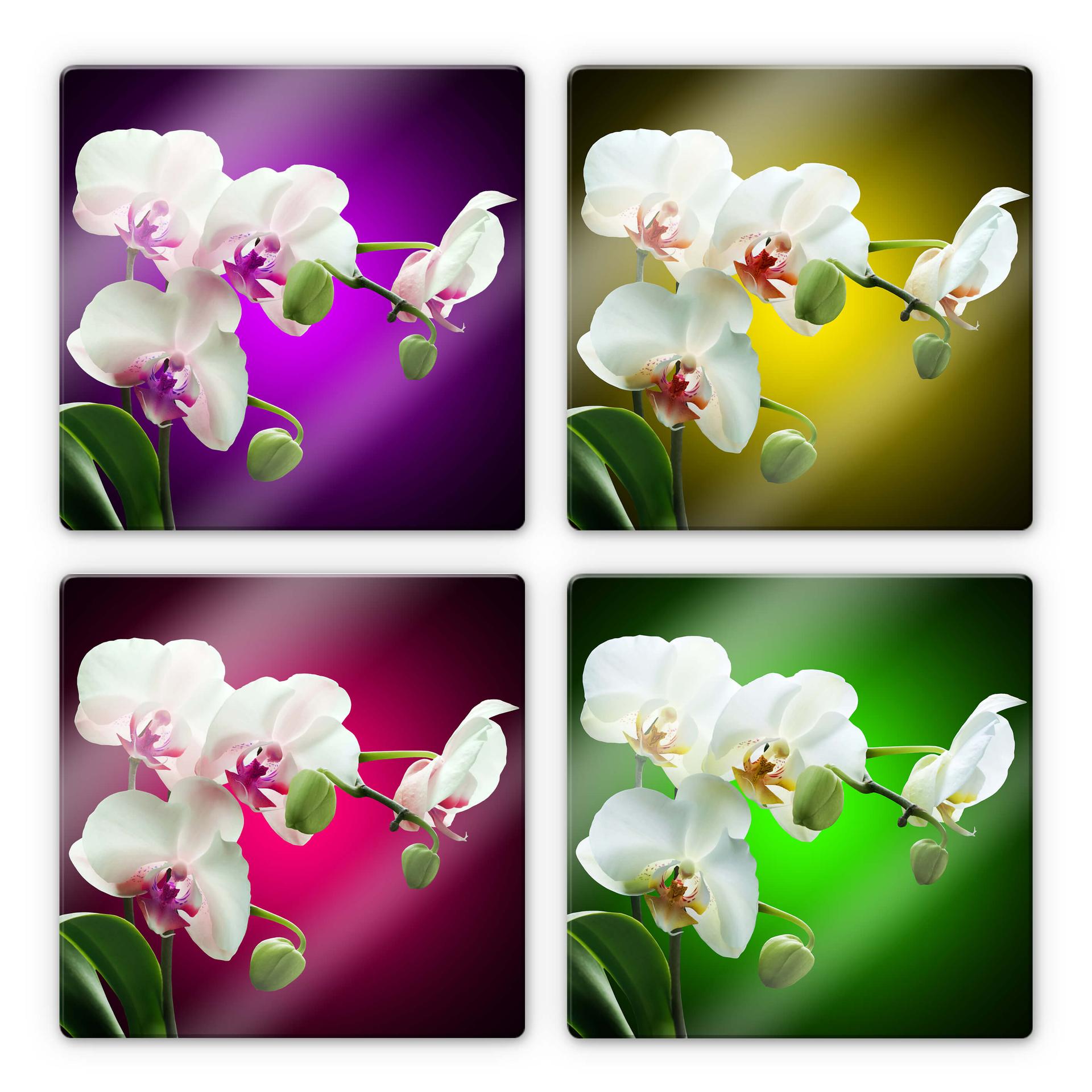 Glasschilderijen Orchidee in bloei - vierkant