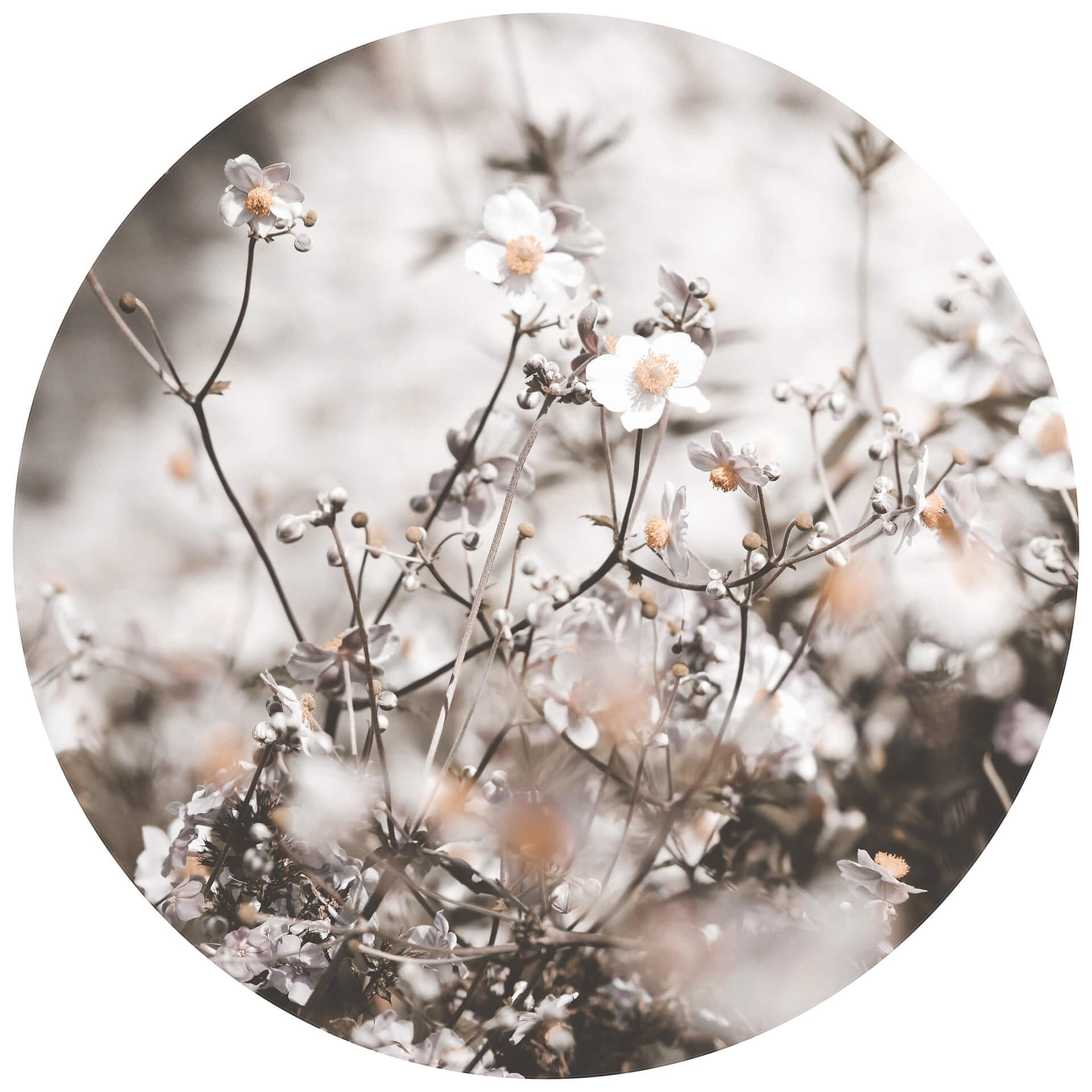 Behangcirkel Annie - Wild Flowers - vliesbehang/zelfklevend vliesbehang