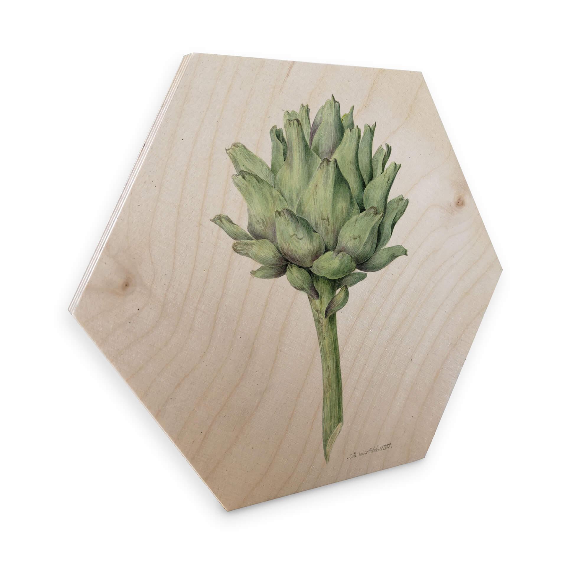 Hexagon Hout Bernard - Artisjok