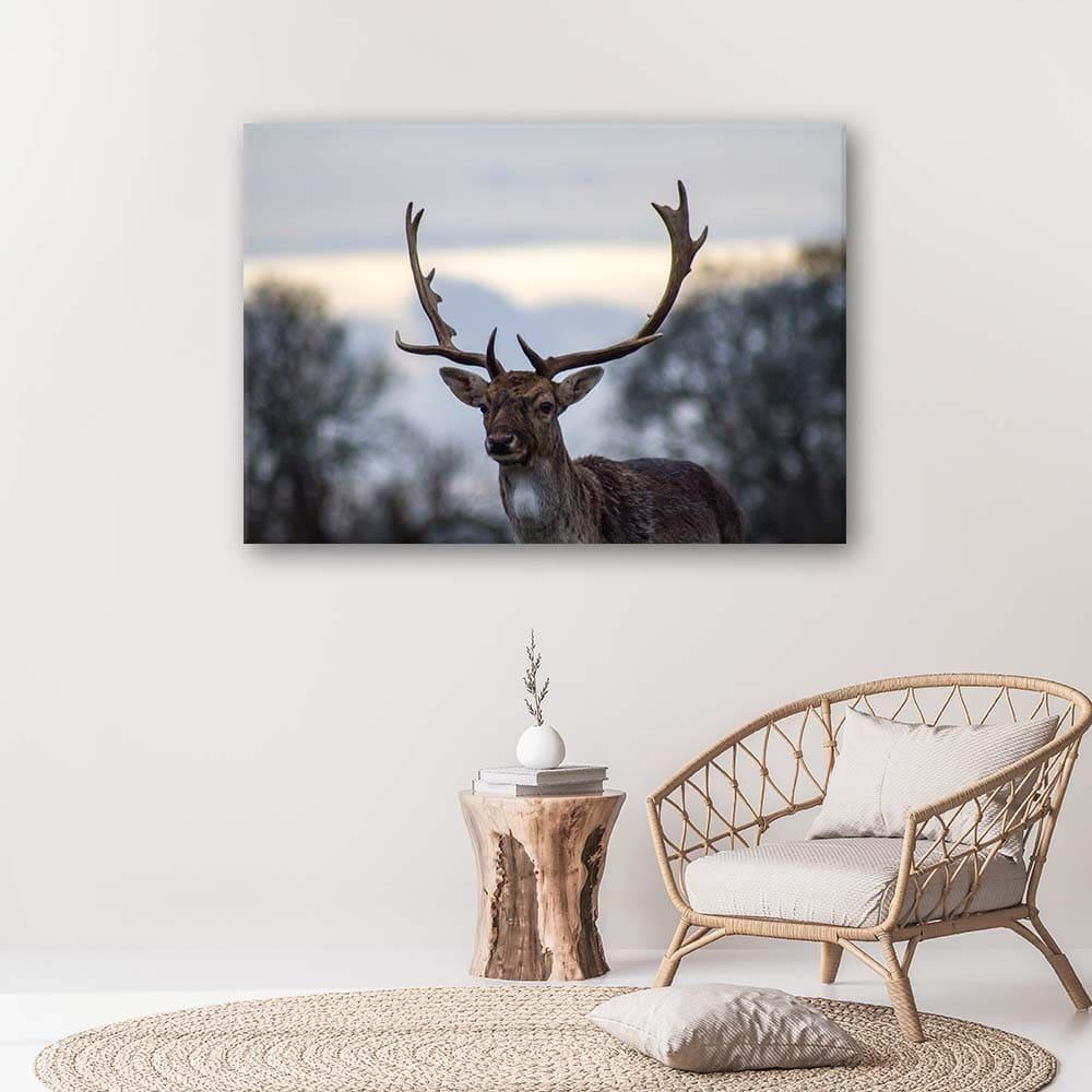 Canvasbillede, Hjort